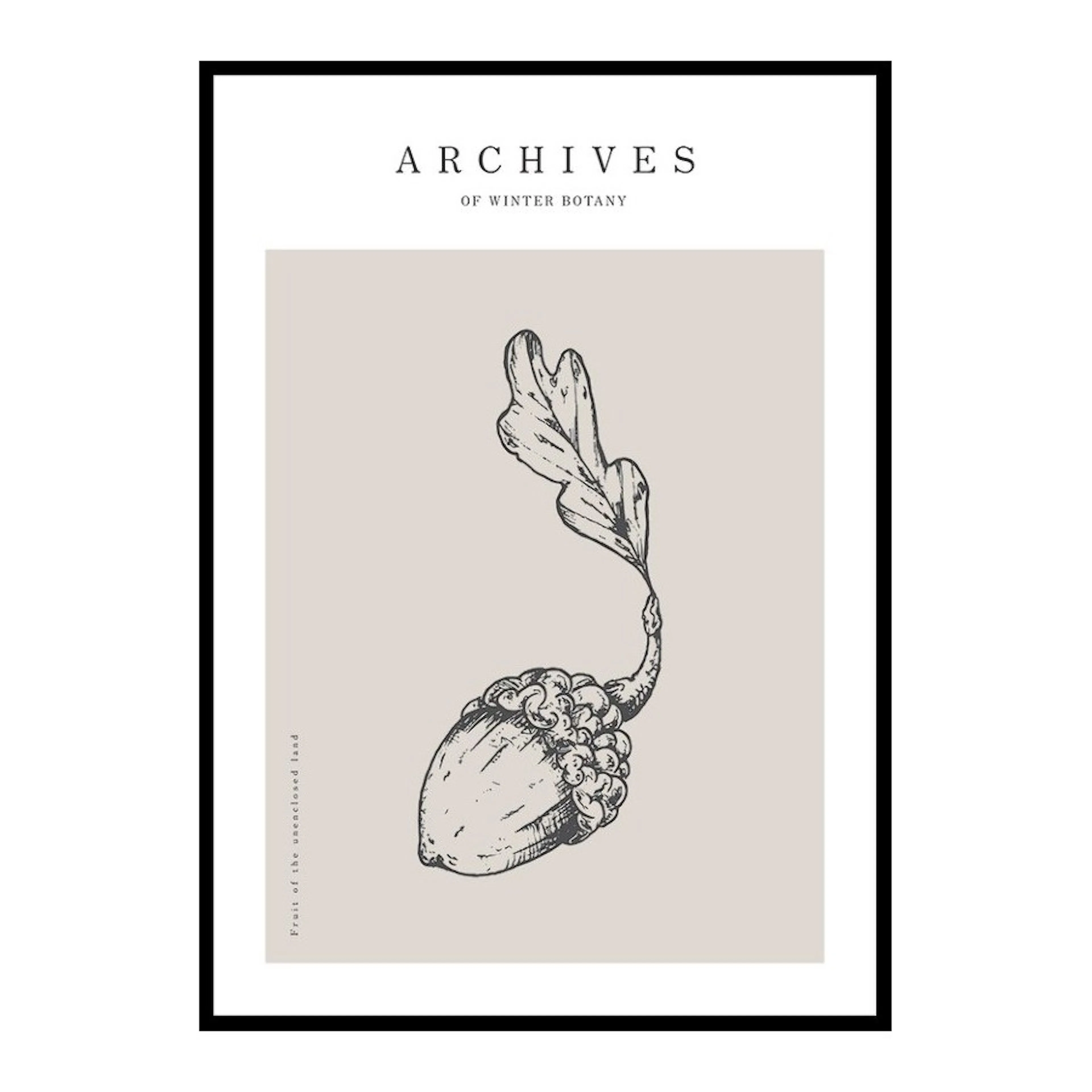 Poster Gallerix Winter Botany No1