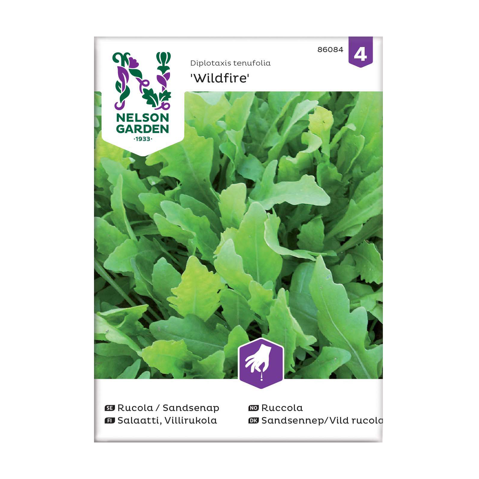 Frö Rucola Sandsenap Nelson Garden Wildfire™