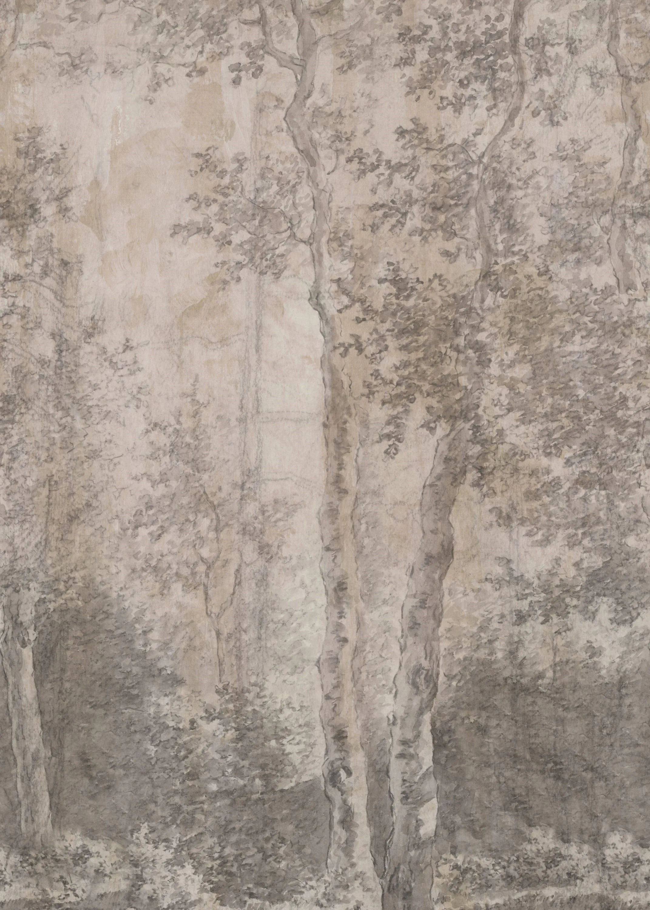 Fototapet LOOKS by Wolfgang Joop Looks Björkar 121027