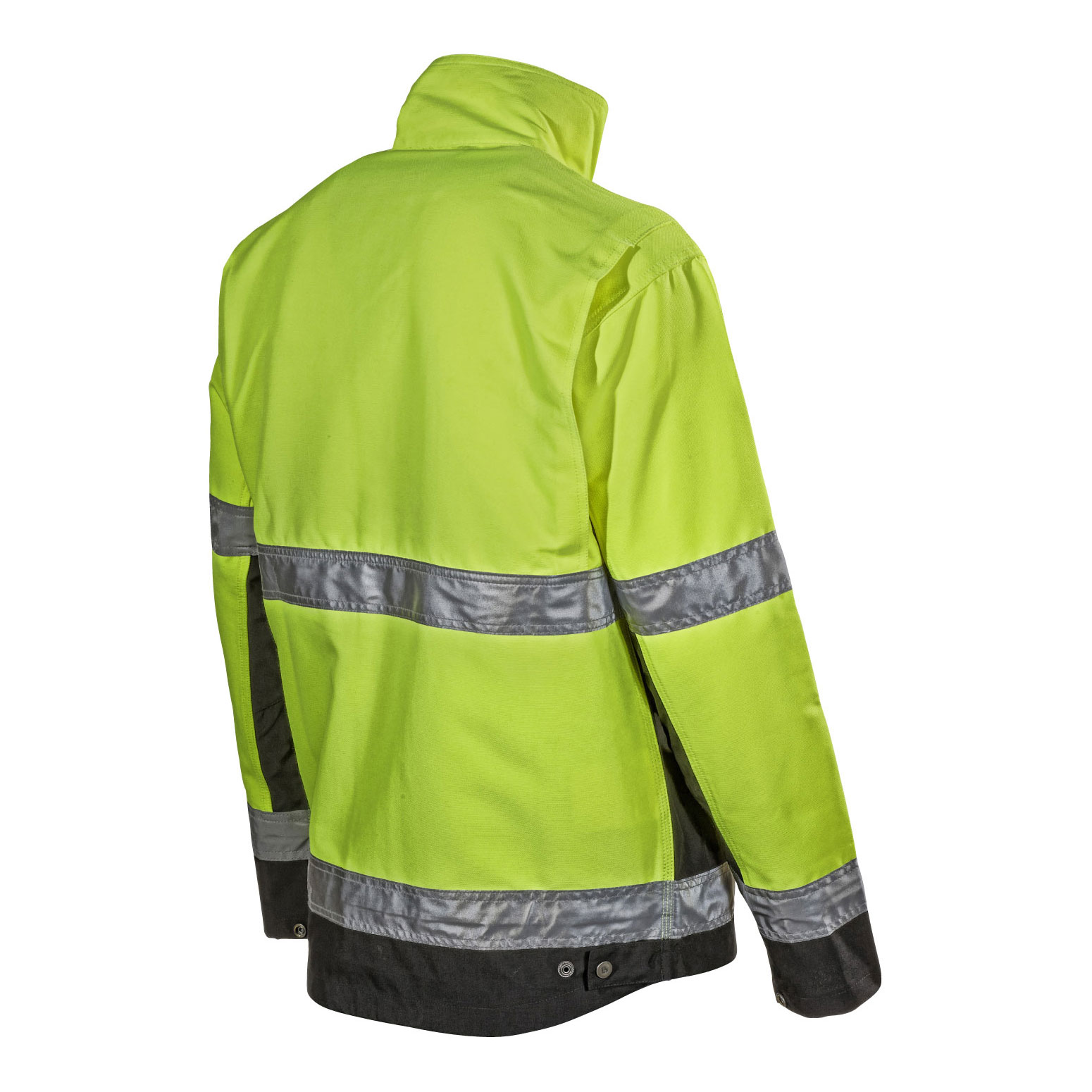 Jacka L.Brador 203PB