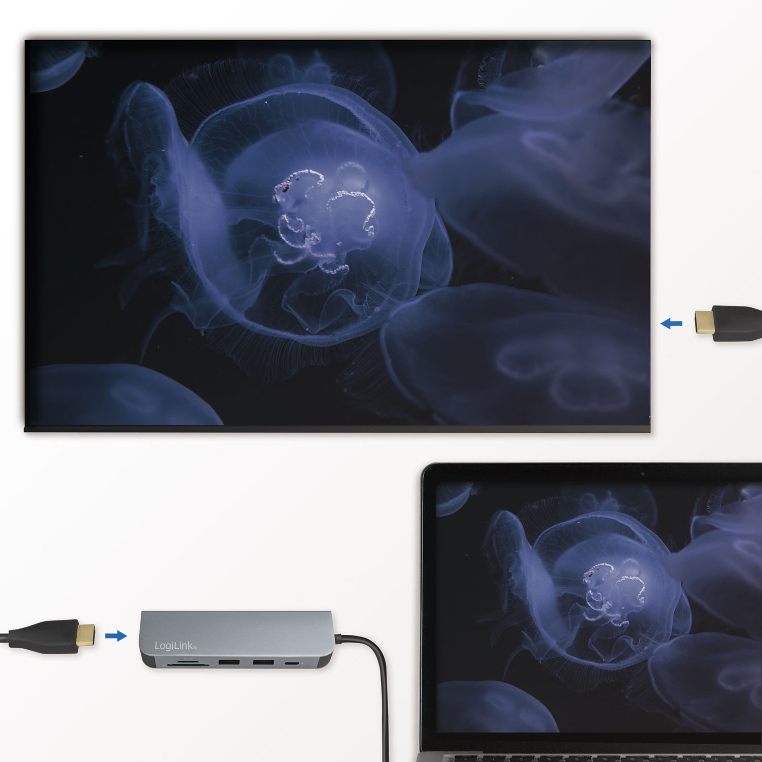 Adapter LogiLink  USB-C Multi-Hub HDMI/PD/DeX