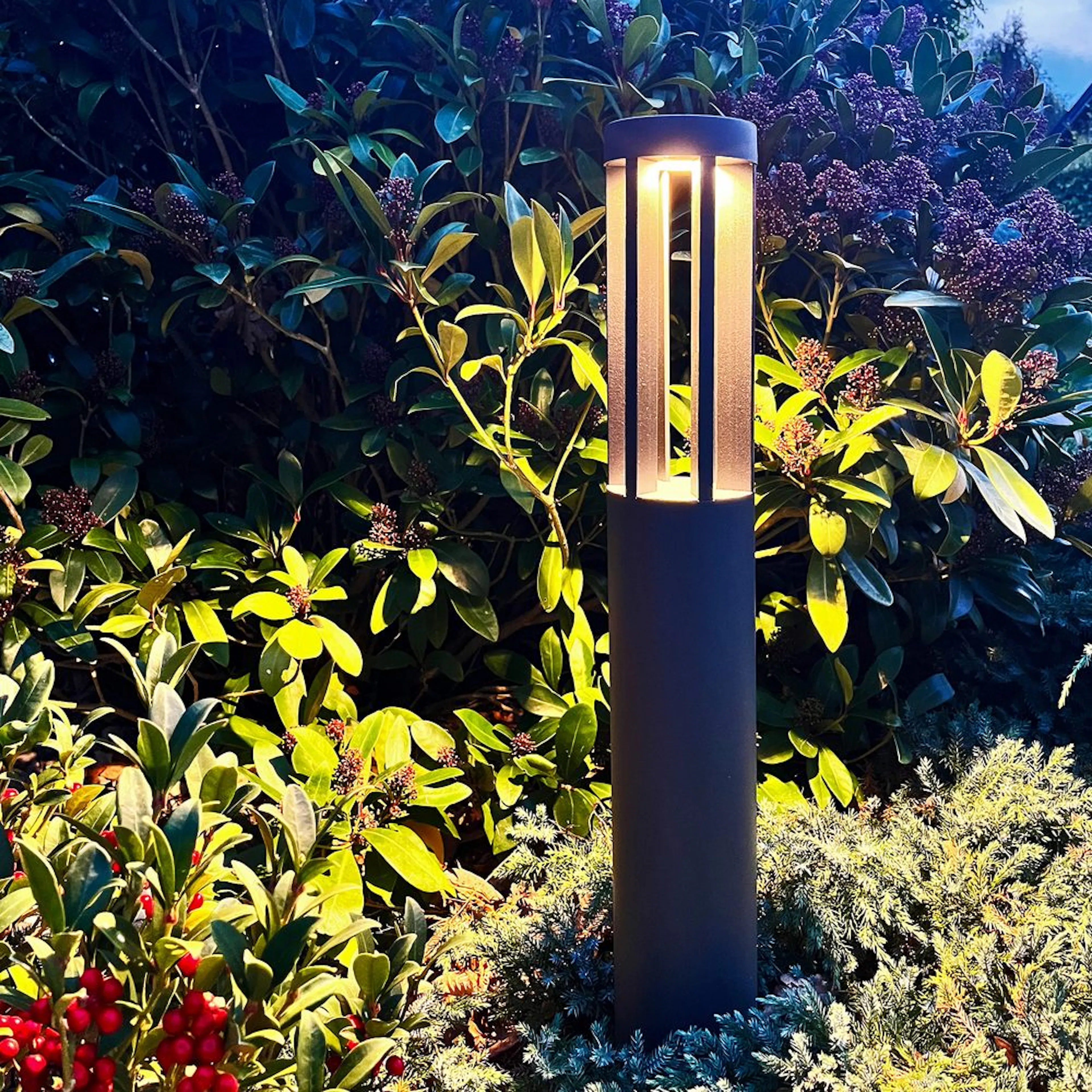 Pollare LightsOn Helix