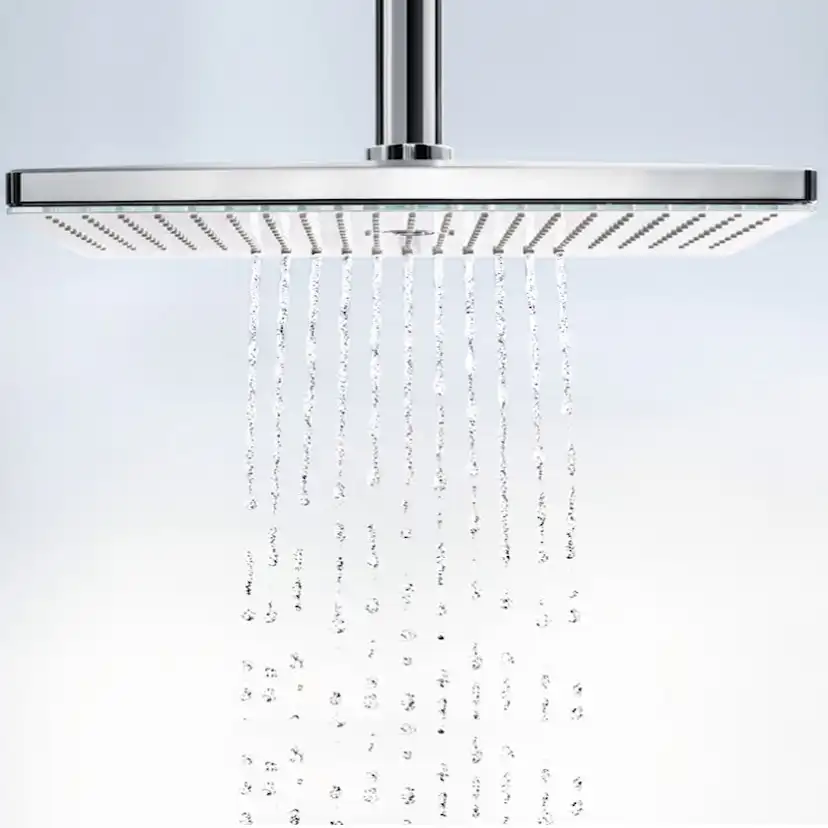 HG Rainmaker Sel.460 2jet huvuddusch Utan EcoSmart