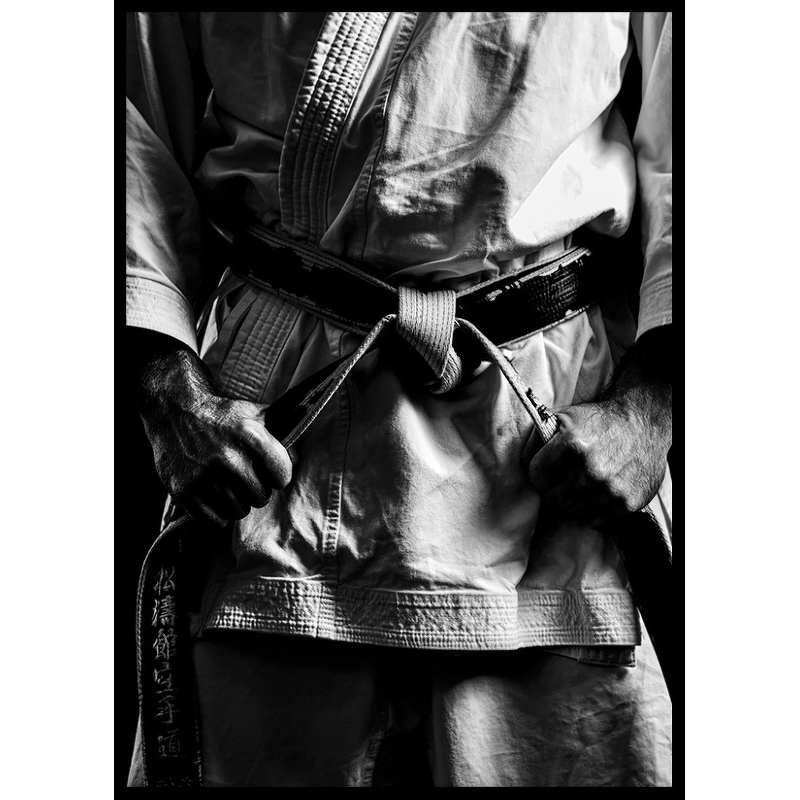 Poster Gallerix Martial Arts