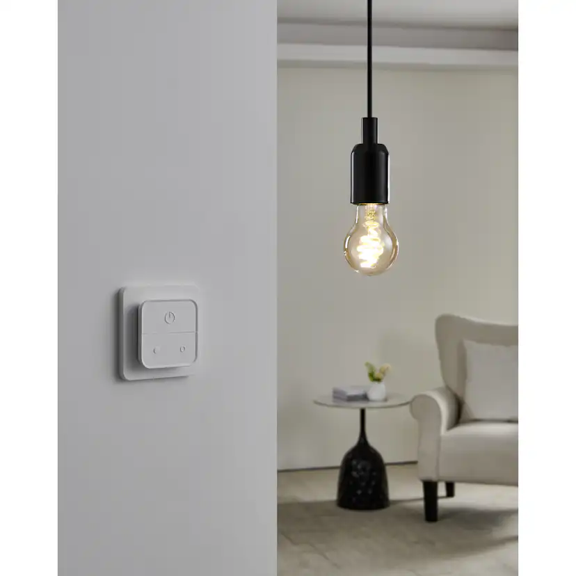 Ljuskälla Eglo 2xLM-ZIG-CCT E27 A60 4,9W Amber + Brytare