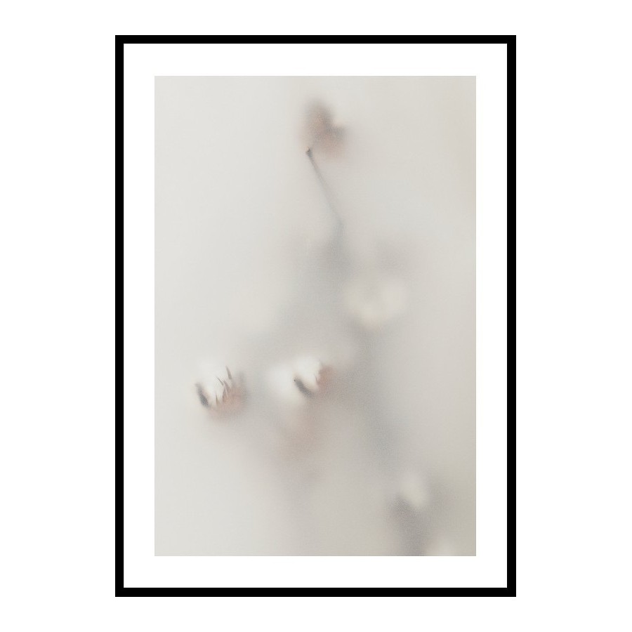 Poster Gallerix Concealed Cotton