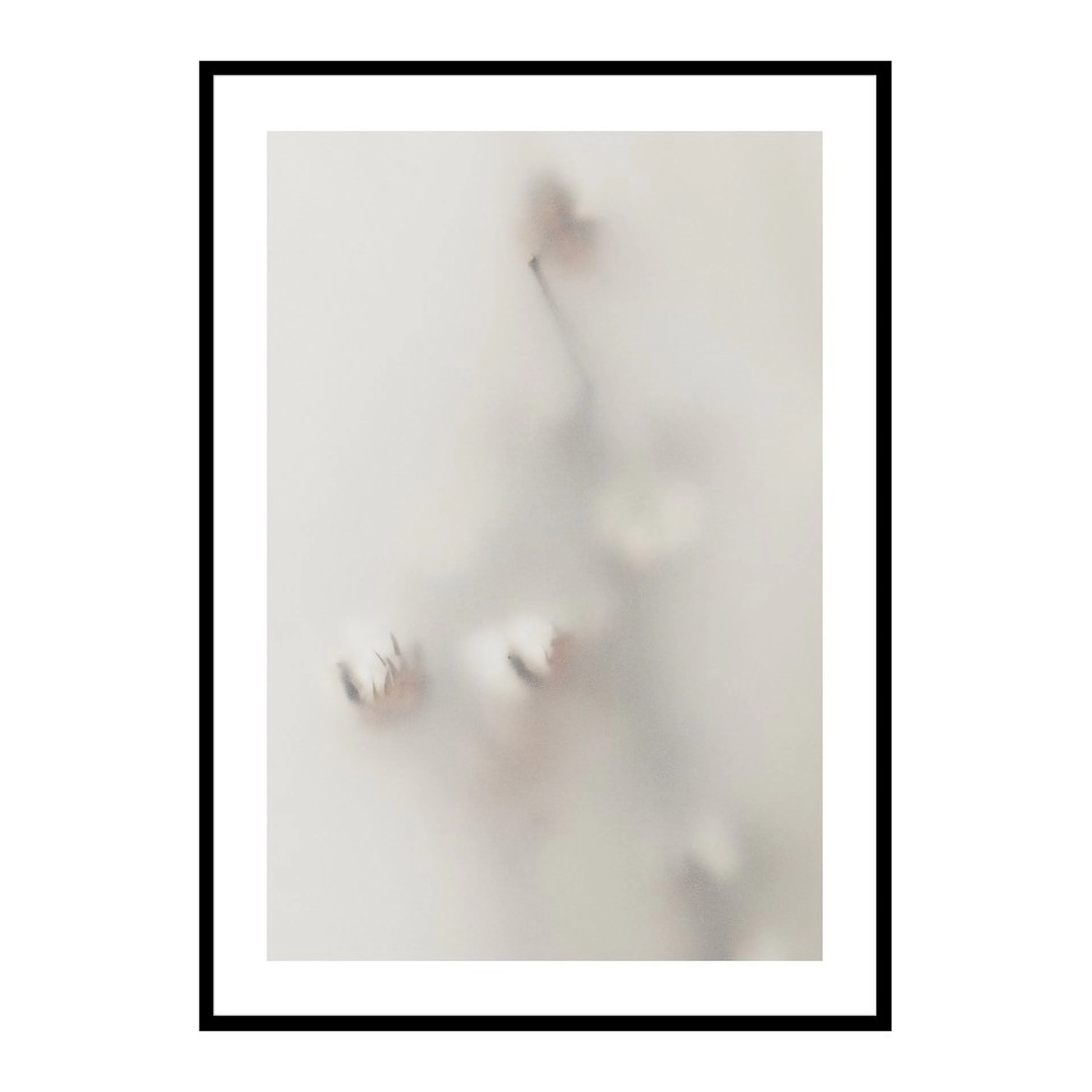 Poster Gallerix Concealed Cotton