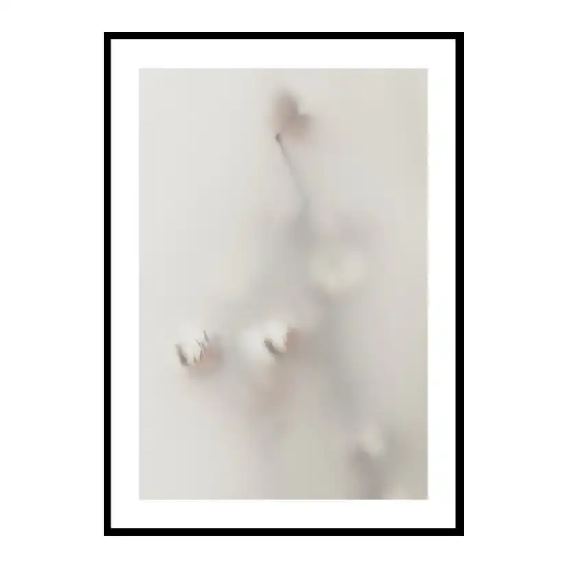 Poster Gallerix Concealed Cotton