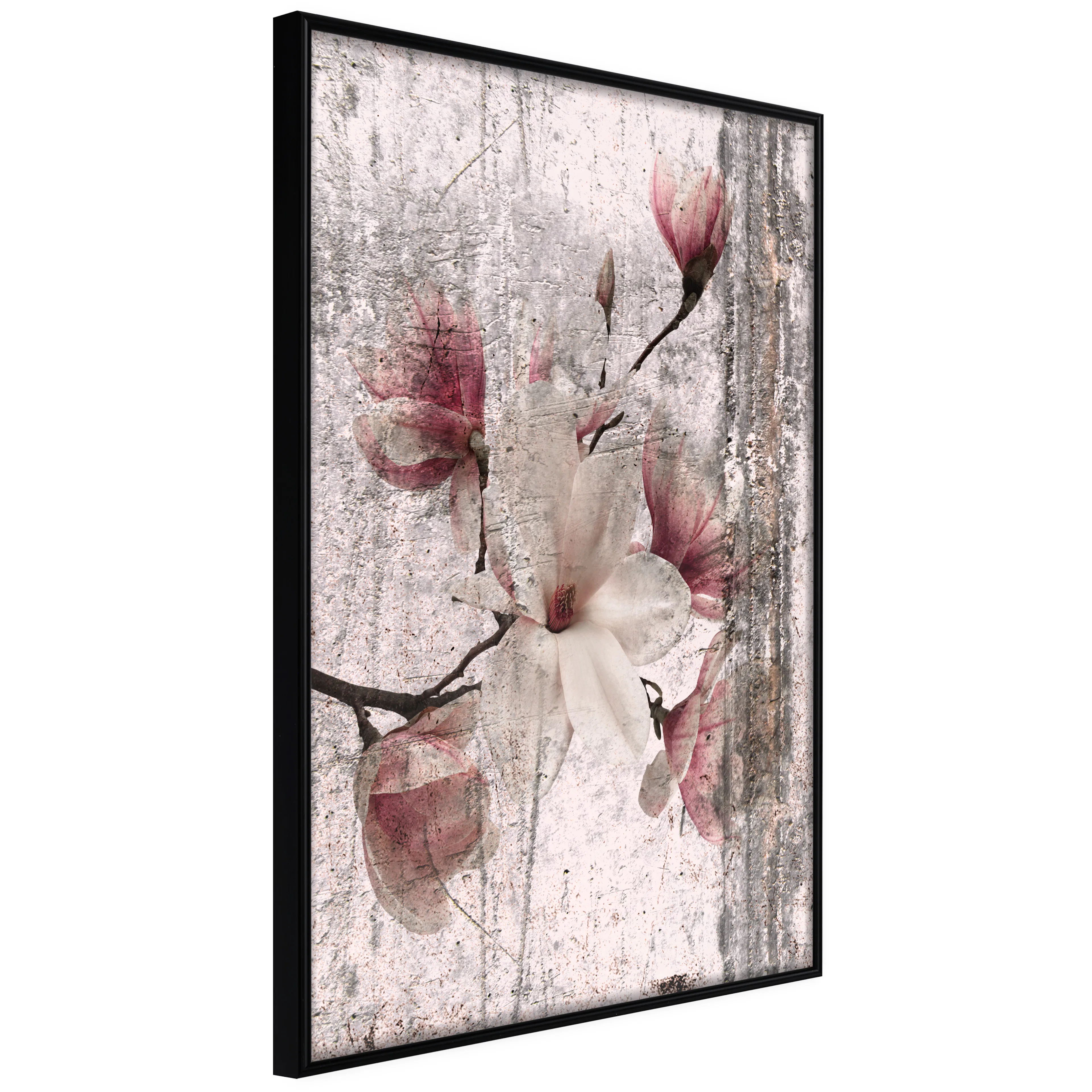 Affisch - Memorial Magnolia [Poster] 20x30 Svart ram, 20x30 cm