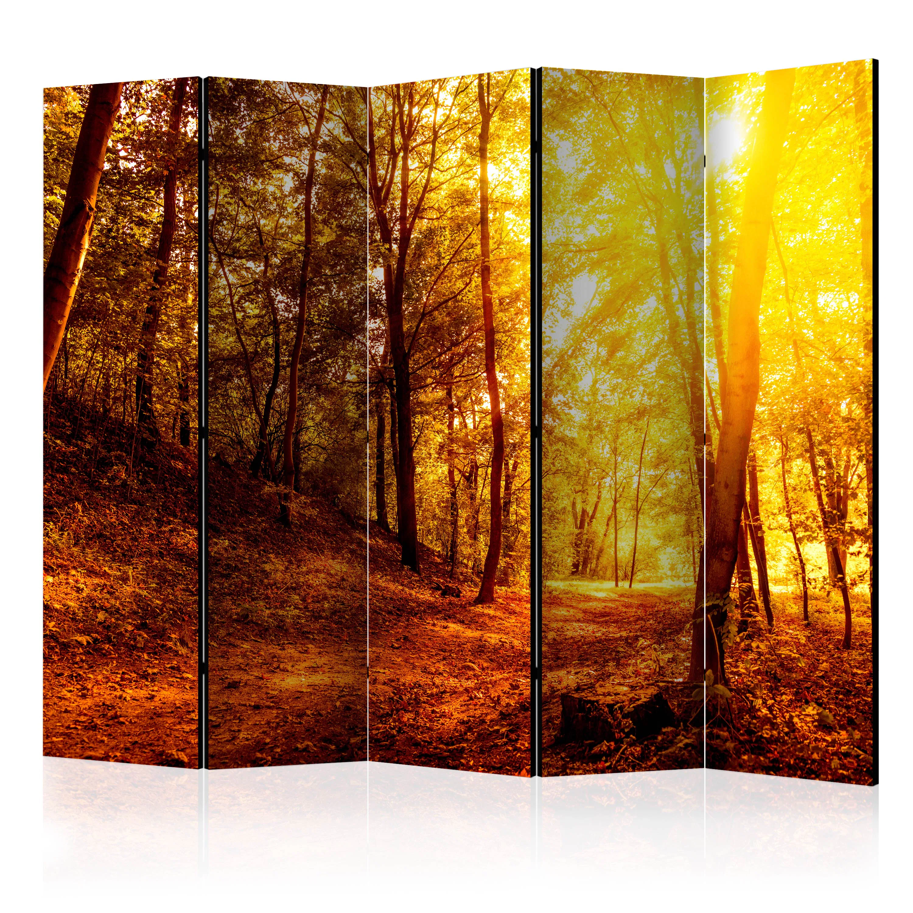 Rumsavdelare Skärmvägg Arkiio Autumn Walk II 225x172 cm