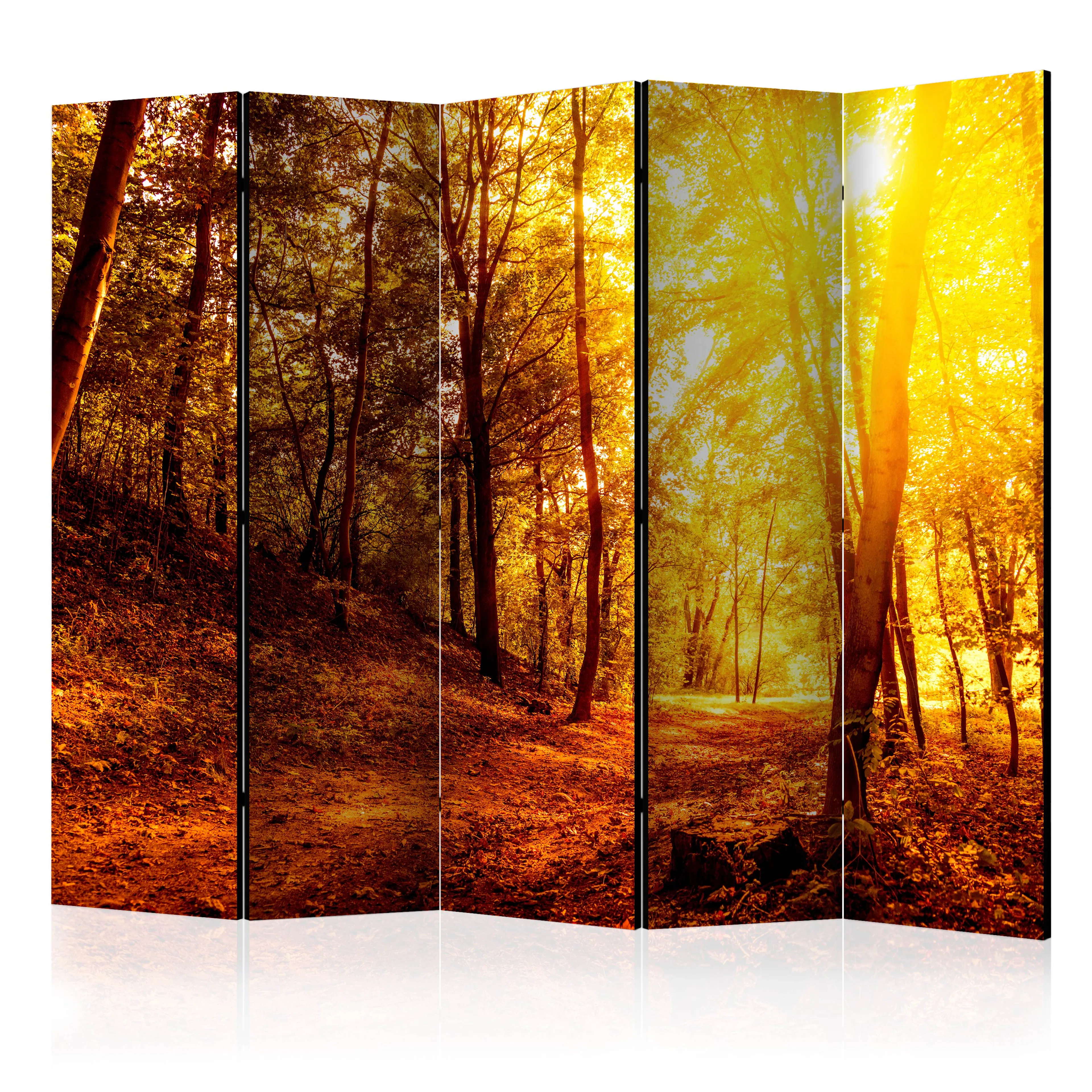 Rumsavdelare Skärmvägg Arkiio Autumn Walk II 225x172 cm
