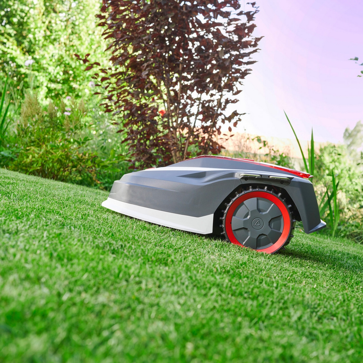 Robotgräsklippare AL-KO Robolinho 1300 W Effektiv Gräsmatteskötsel