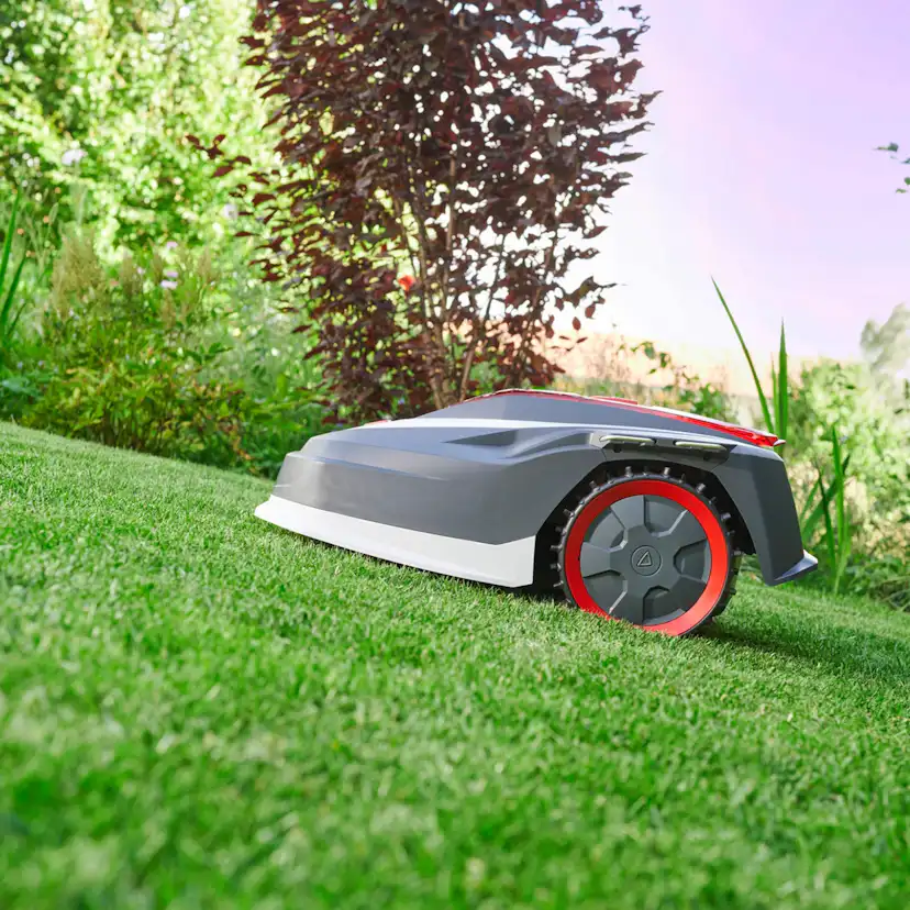 Robotgräsklippare AL-KO Robolinho 1300 W Effektiv Gräsmatteskötsel