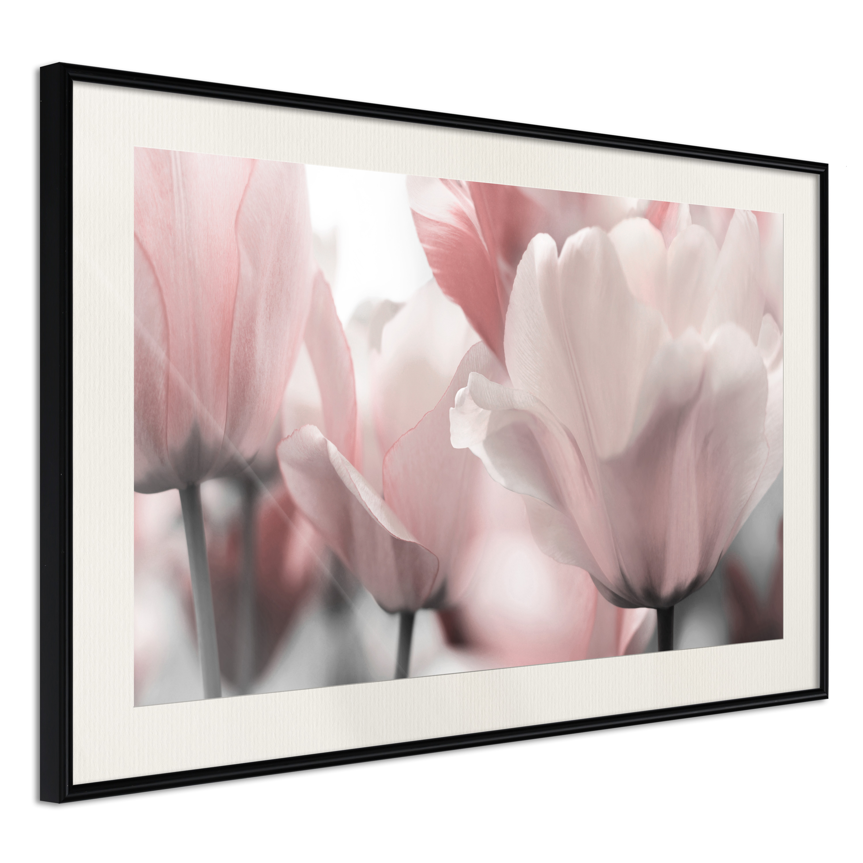 Affisch - Fabulous Tulips [Poster] 30x20 Svart ram med passepartout, 30x20 cm