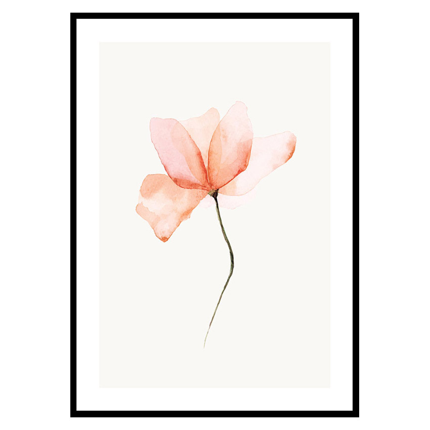 Poster Gallerix Watercolor Flower