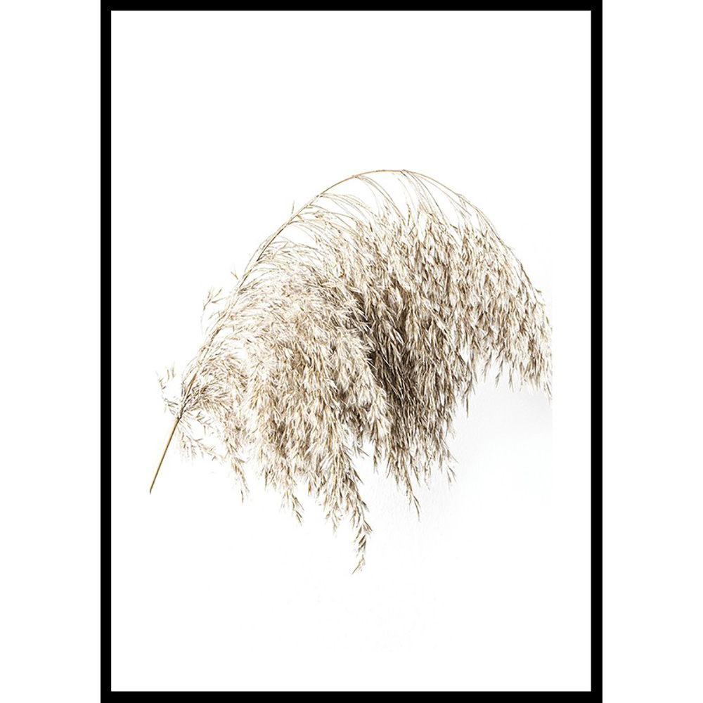 Poster Gallerix Boho Dried In Nature No2