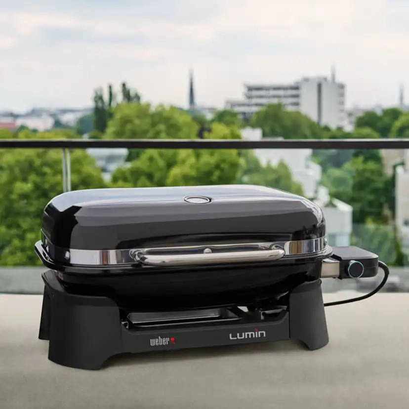 Elgrill Weber Lumin Compact