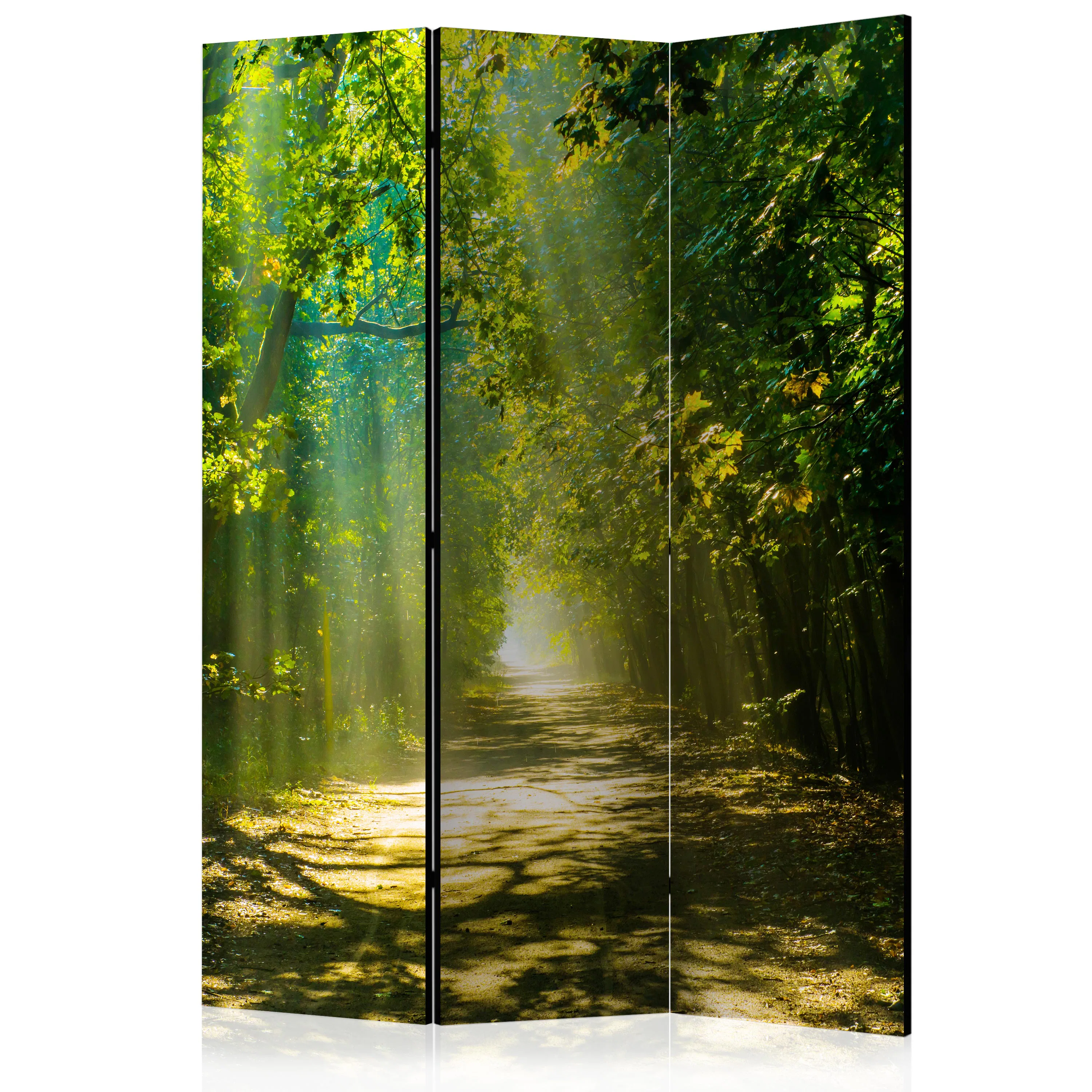 Rumsavdelare Skärmvägg Arkiio Road In Sunlight 135x172 cm