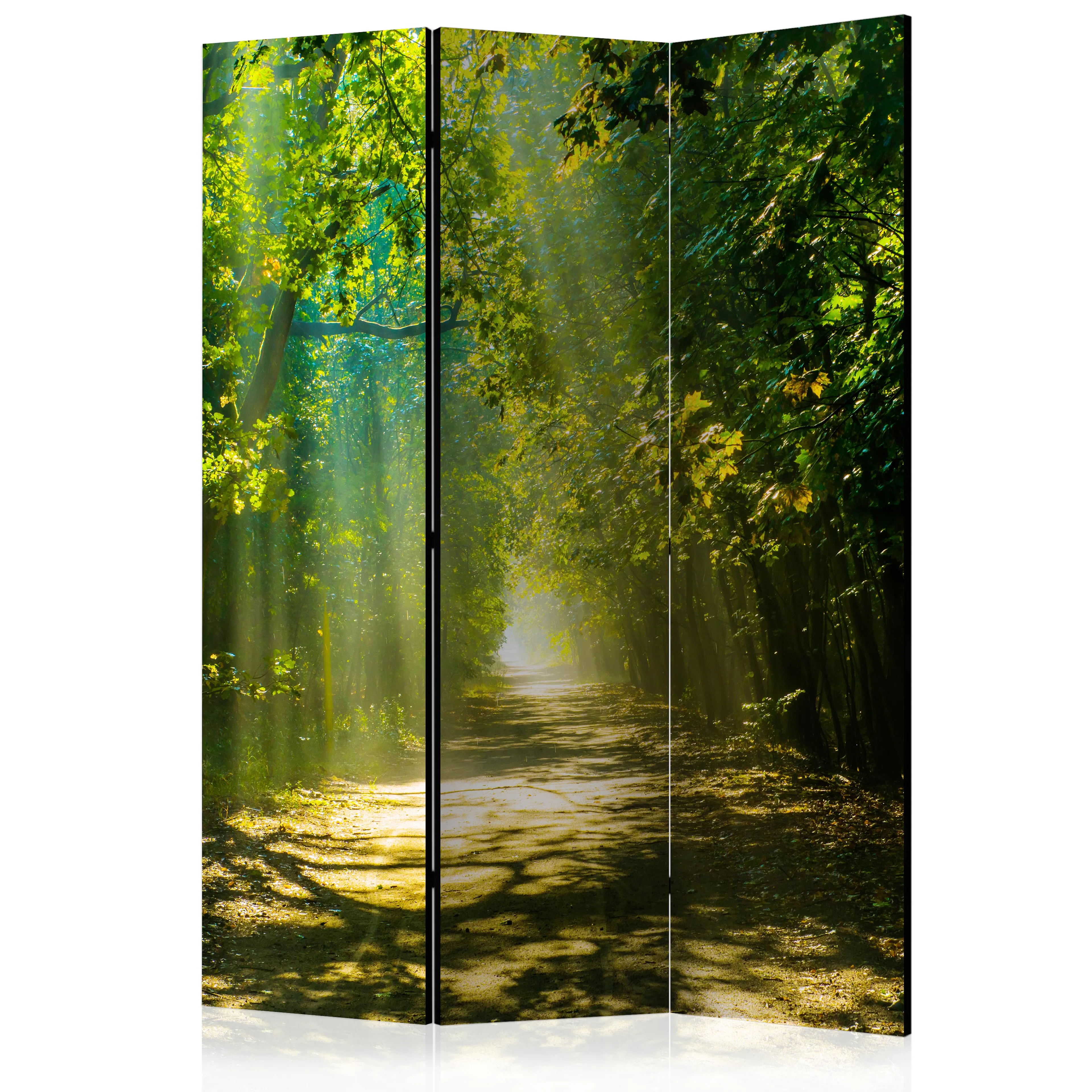 Rumsavdelare Skärmvägg Arkiio Road In Sunlight 135x172 cm
