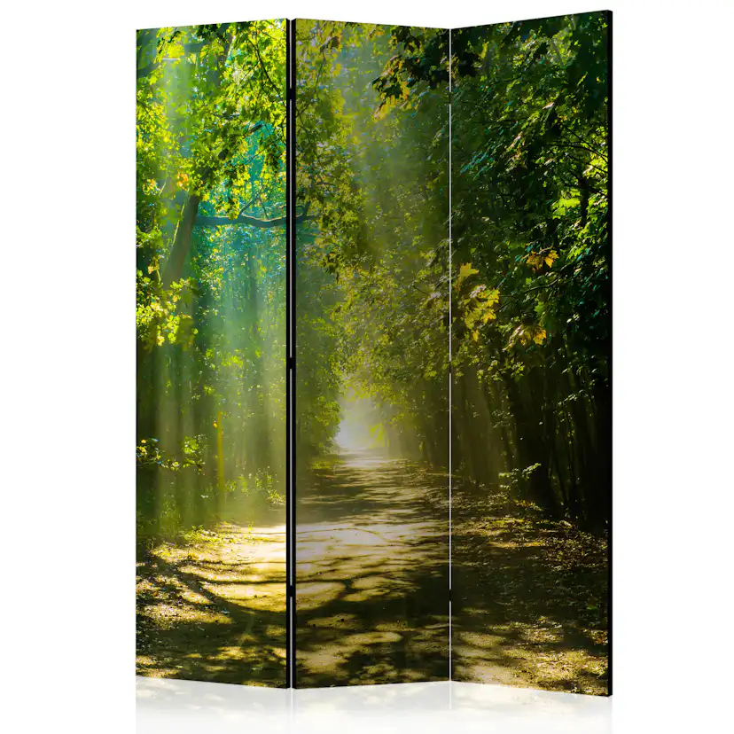 Rumsavdelare Skärmvägg Arkiio Road In Sunlight 135x172 cm