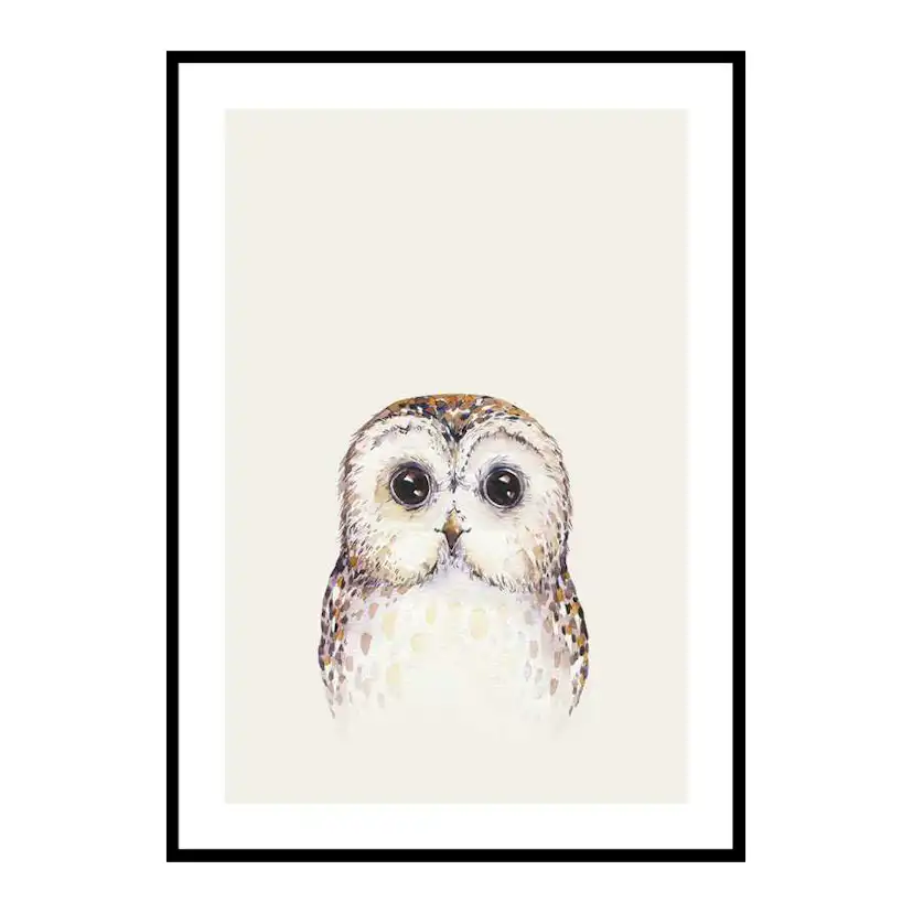 Poster Gallerix Peekaboo Owl