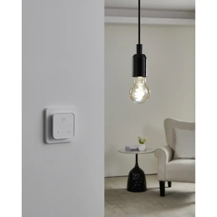 Ljuskälla Eglo 2xLM-ZIG-CCT E27 A60 4,9W Amber + Brytare