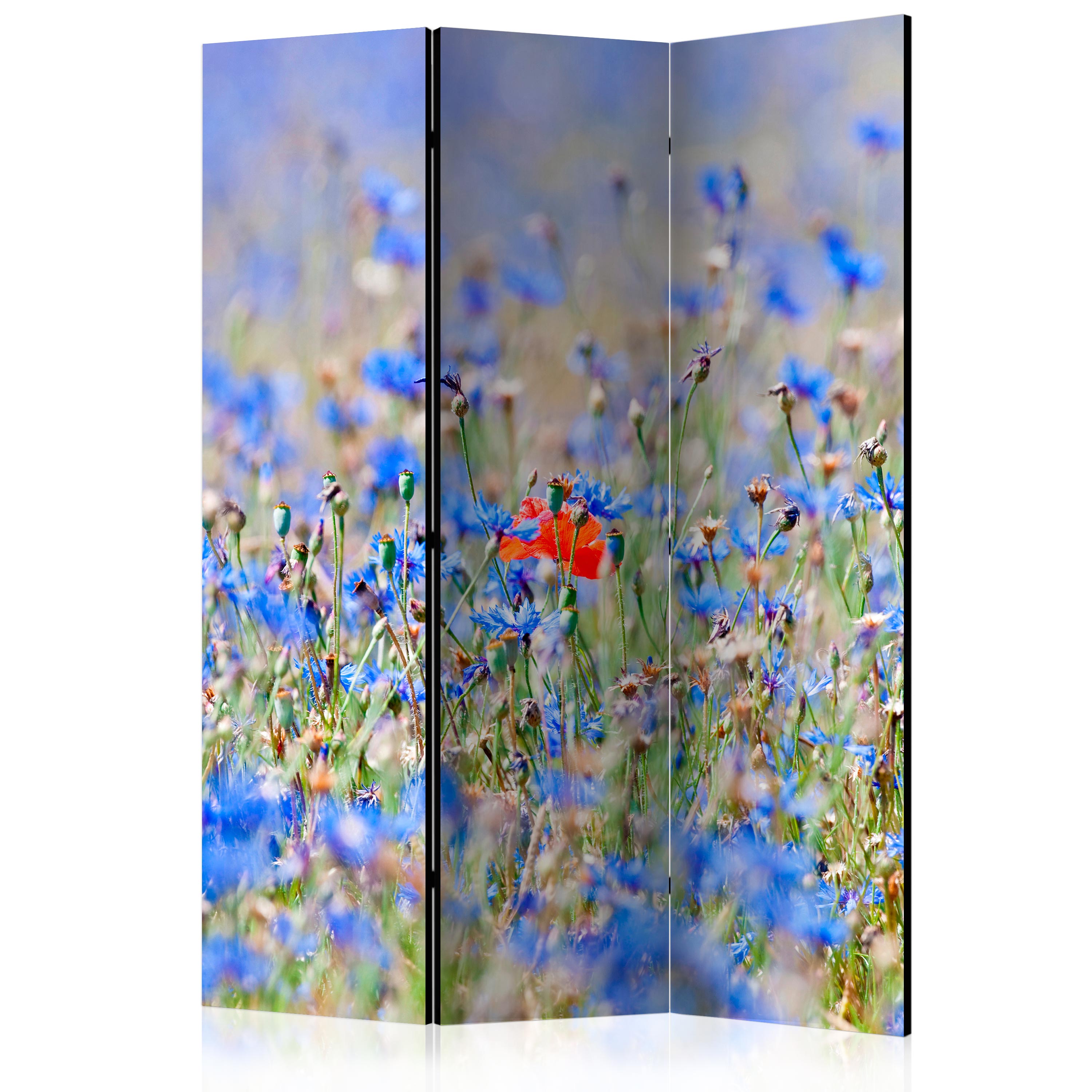 Rumsavdelare Skärmvägg Arkiio A Sky-Colored Meadow Cornflowers 135x172 cm