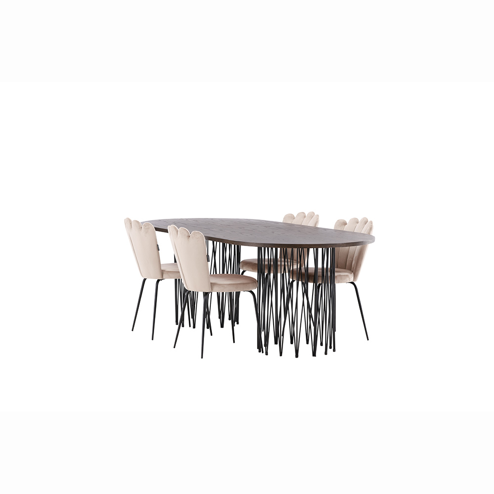 Matgrupp furniture/fashion Stone med 4 Limhamn Light Stolar
