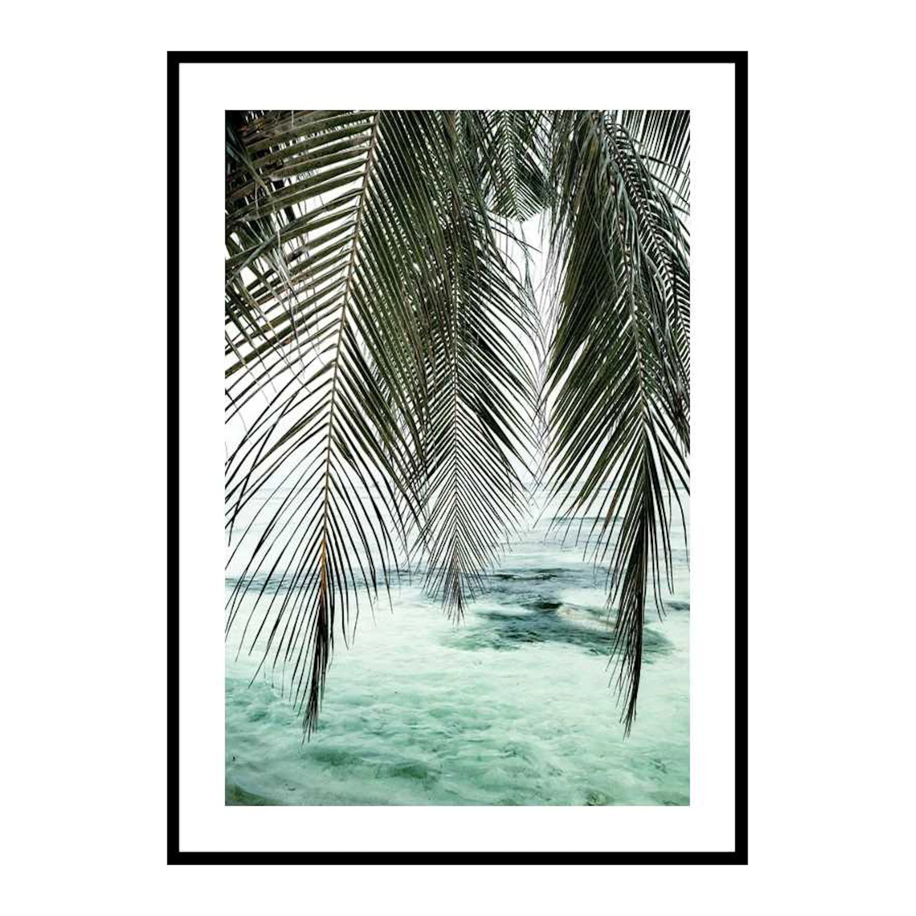 Palm Curtain 30x40 cm