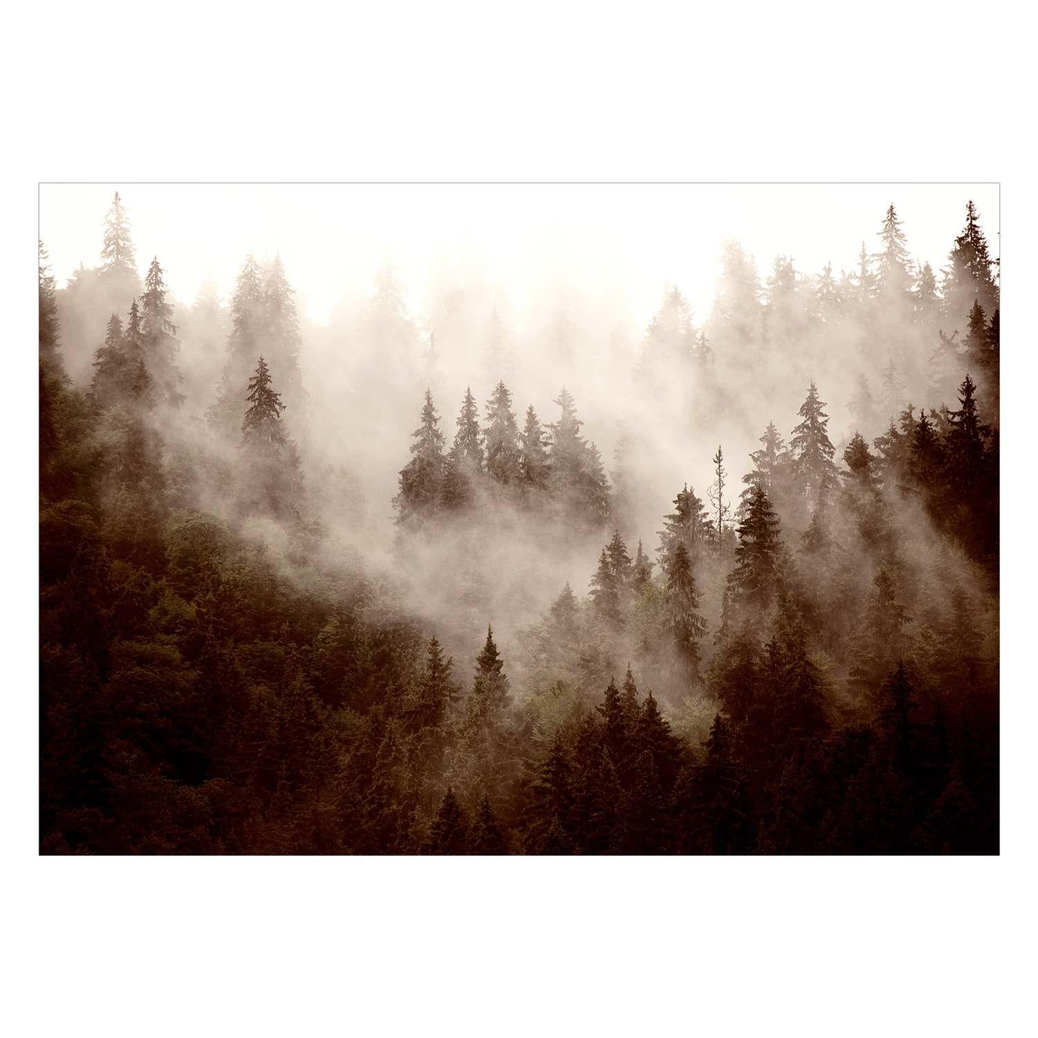Fototapet Arkiio Mountain Forest (Sepia)