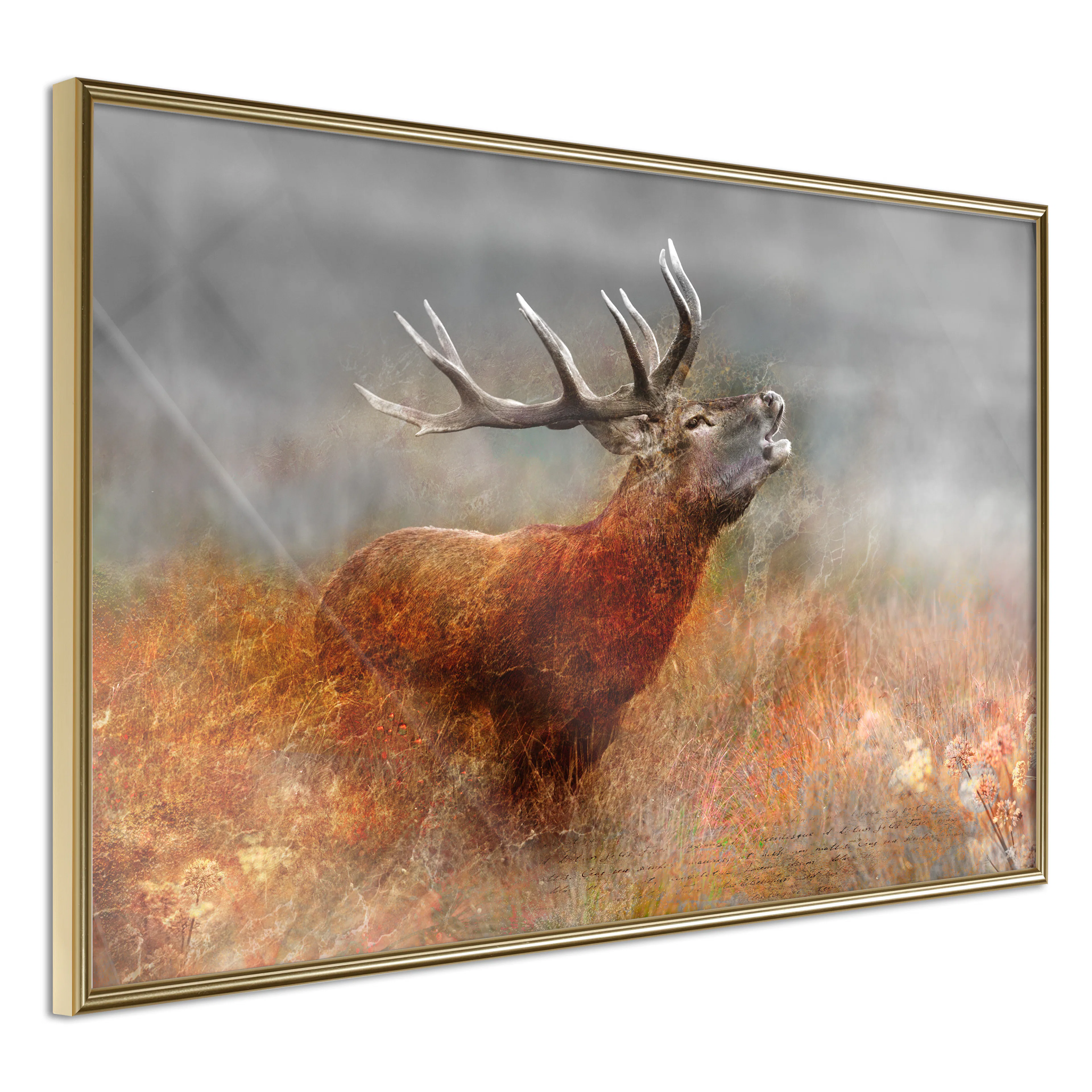 Affisch - Roaring Deer [Poster] 60x40 Guld ram, 60x40 cm