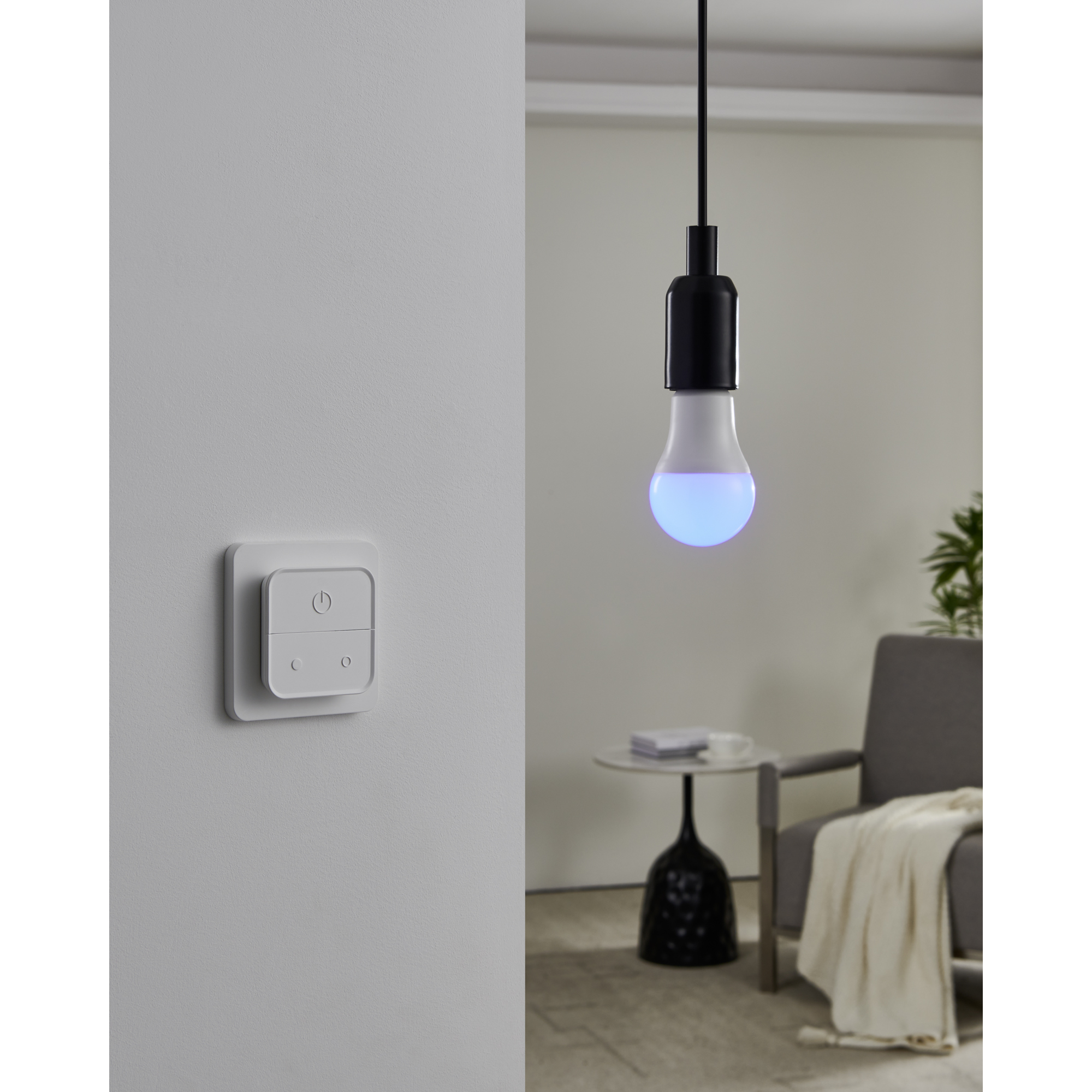 Ljuskälla Eglo 2xLM-ZIG-RGB/CCT E27 A60 9W Brytare