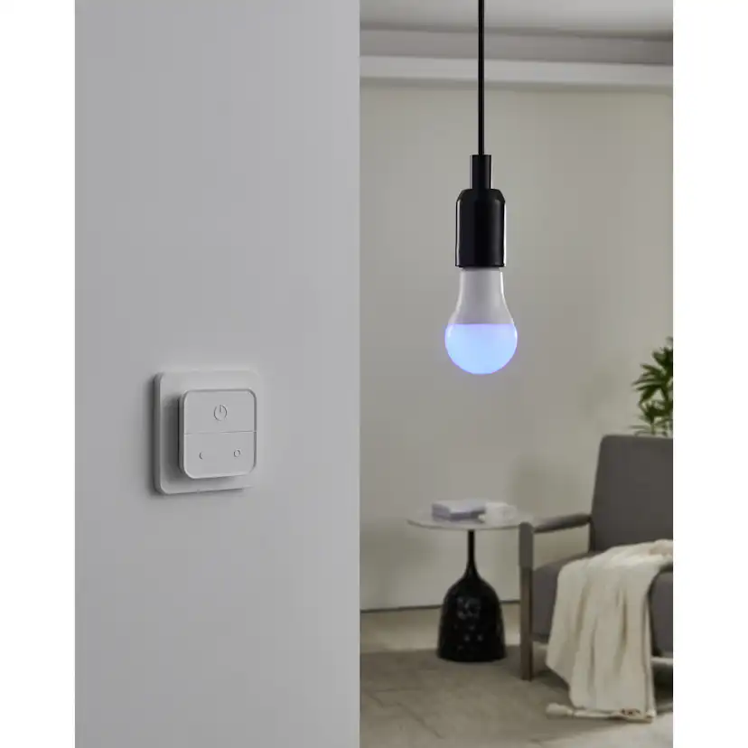 Ljuskälla Eglo 2xLM-ZIG-RGB/CCT E27 A60 9W Brytare