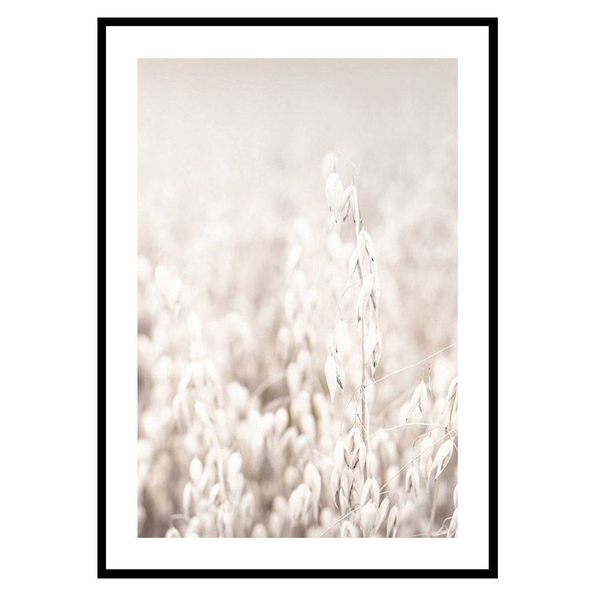 Poster Gallerix Oats