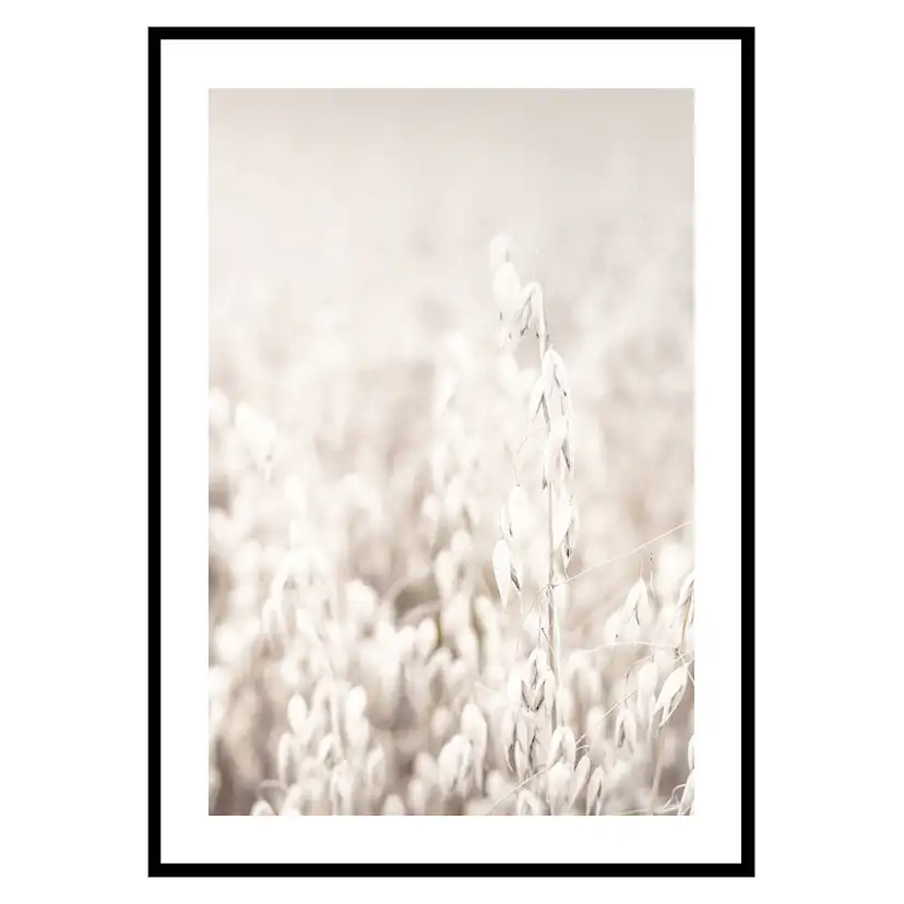 Poster Gallerix Oats