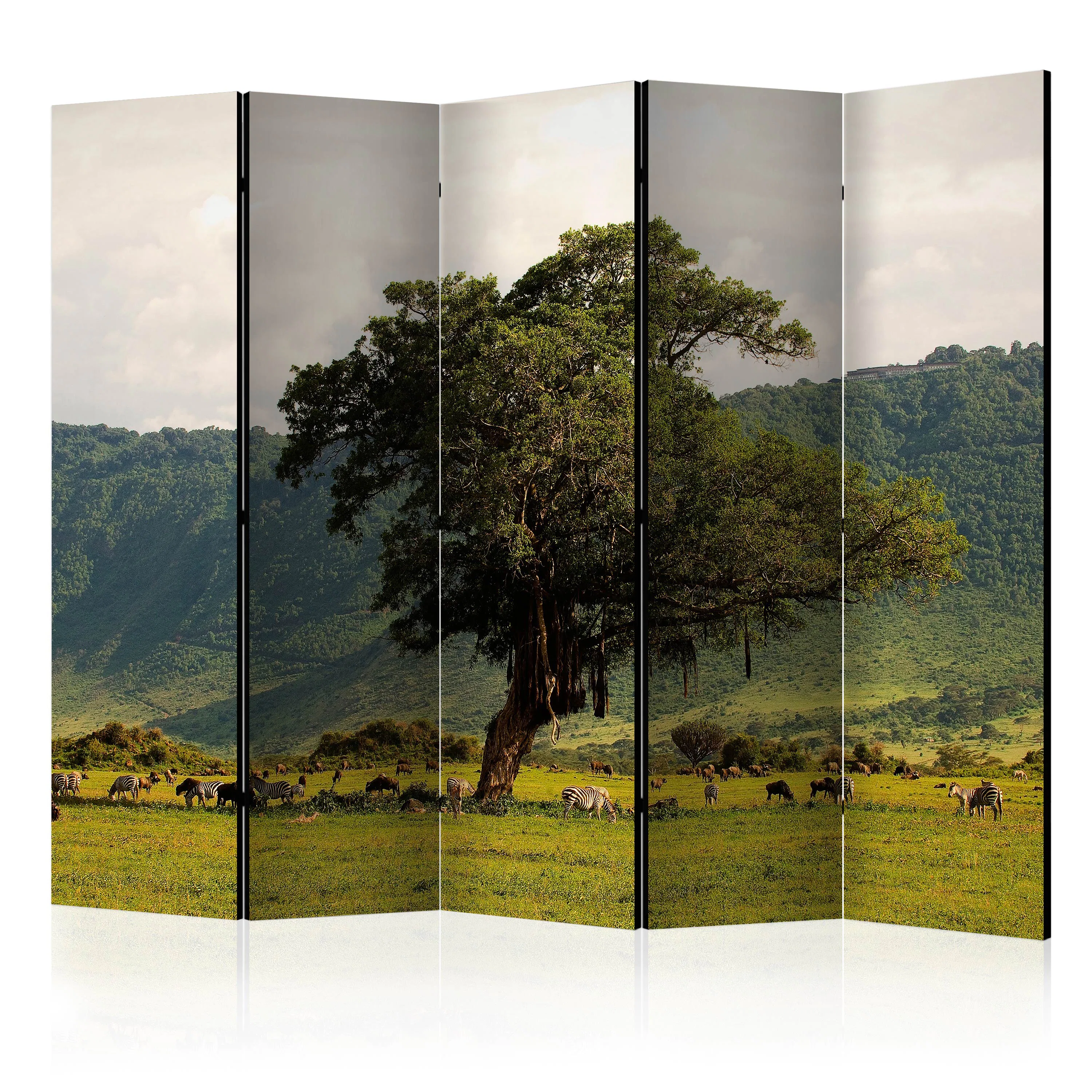 Rumsavdelare Skärmvägg Arkiio In A Crater Of Ngoro Ngoro II 225x172 cm