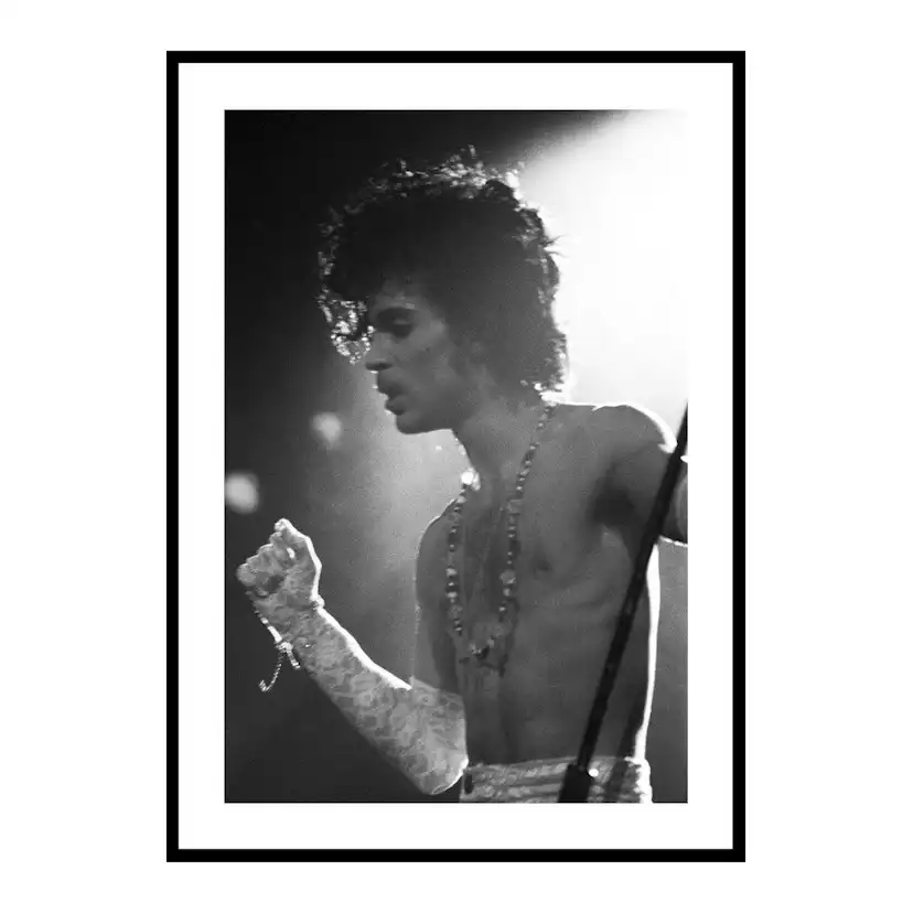 Poster Gallerix Prince