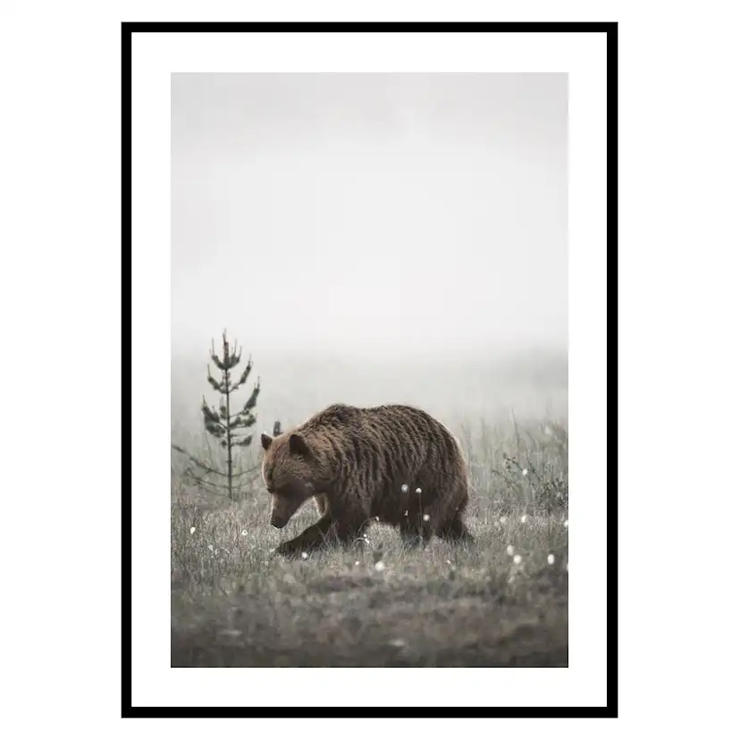 Poster Gallerix Winter Bear