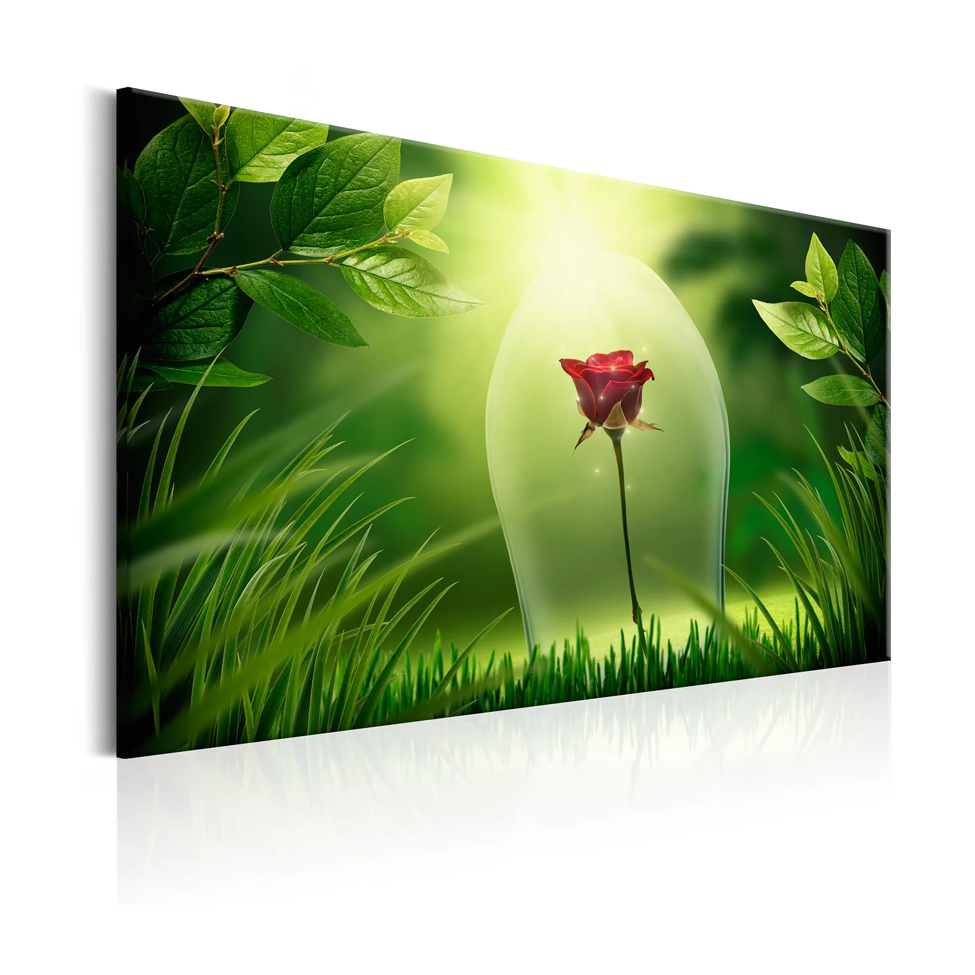 Tavla Arkiio Magical Rose