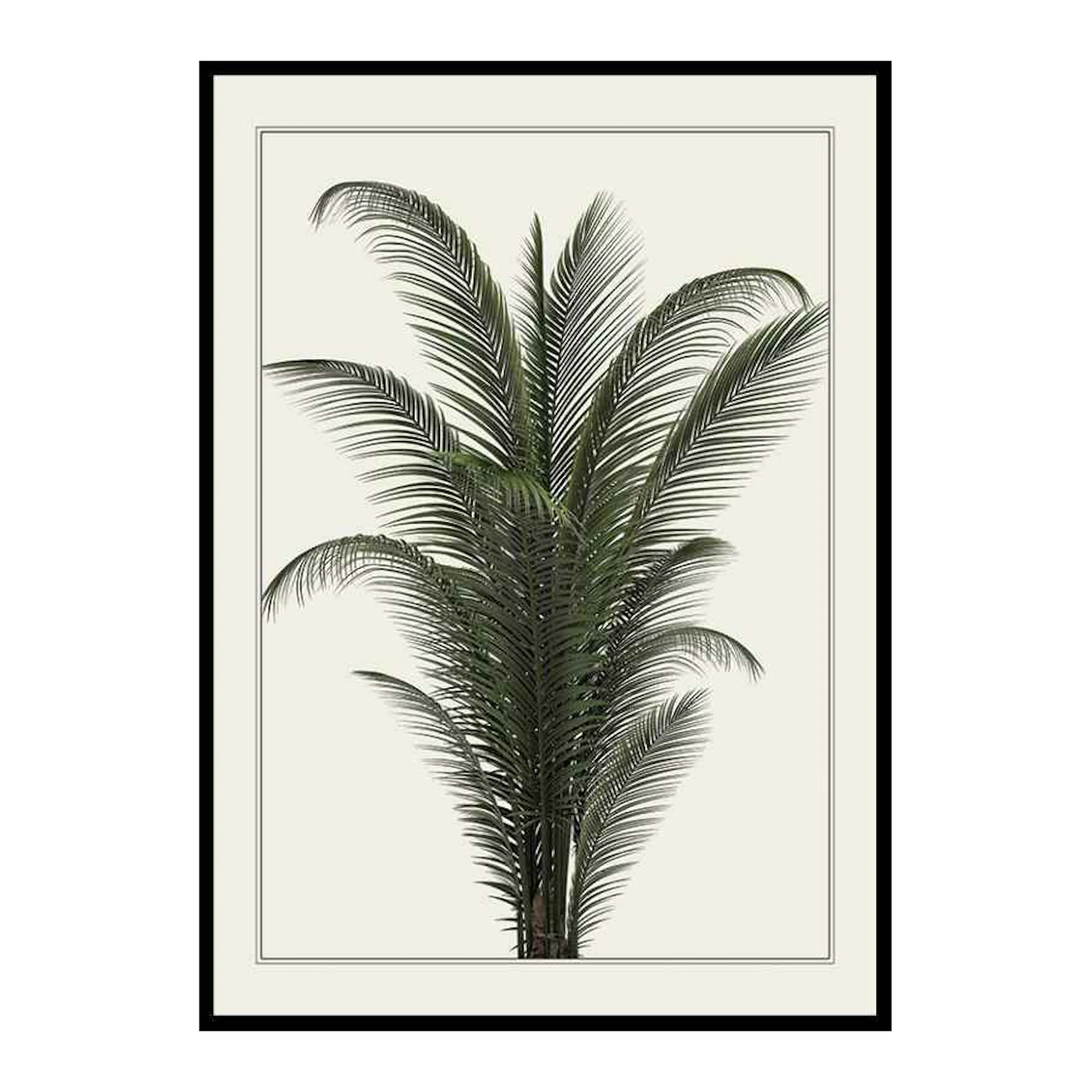 Palm Tree 30x40 cm