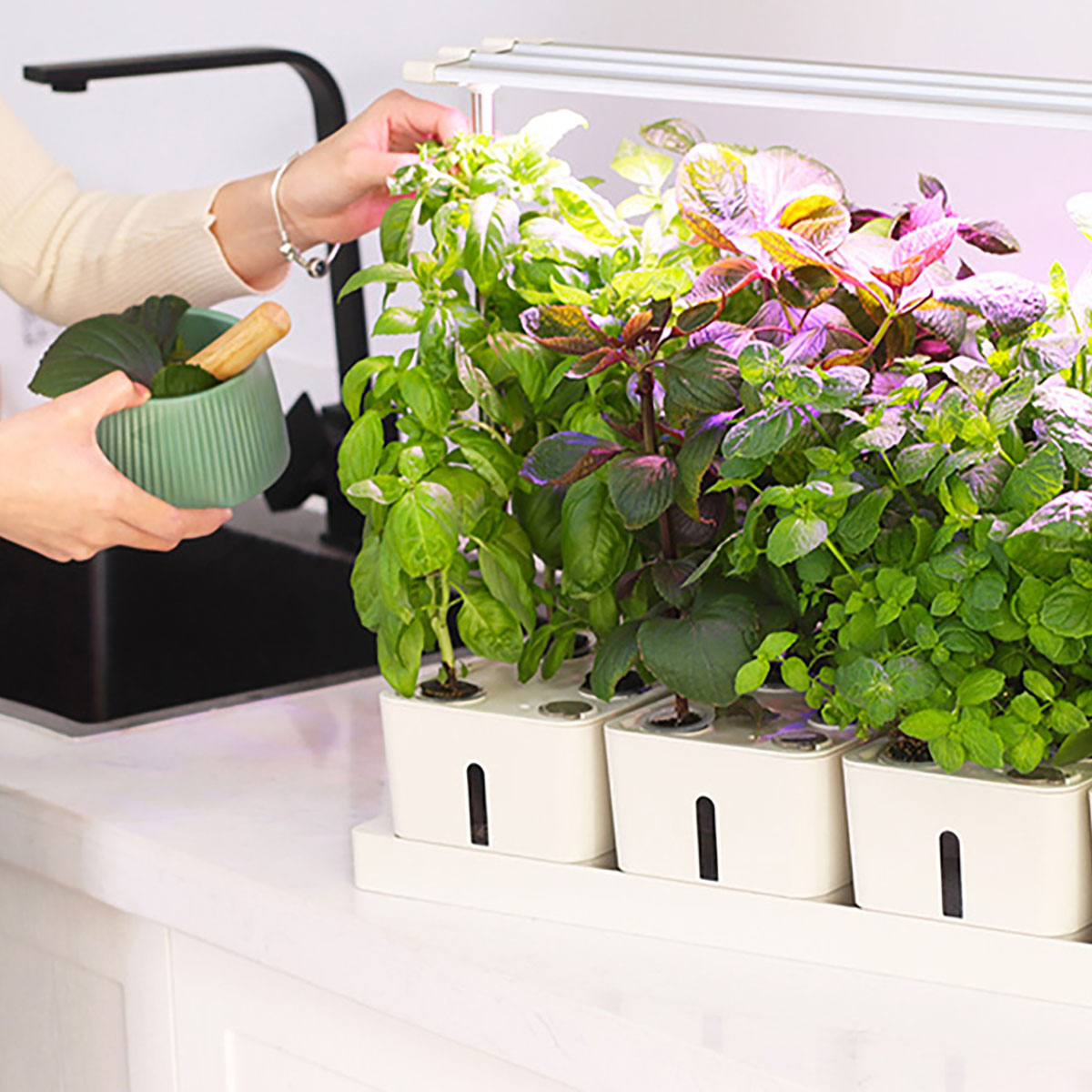 Hydroponisk Odling RobotGarden Odlingslådor Med Växtlampa & Startkit för Hemmaodling