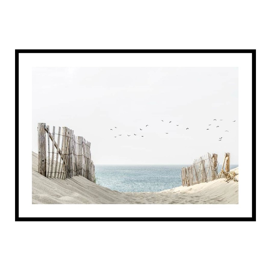 Poster Gallerix Birds At Cape Cod