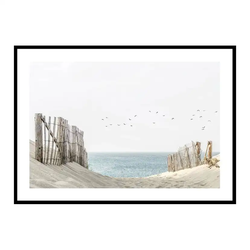 Poster Gallerix Birds At Cape Cod