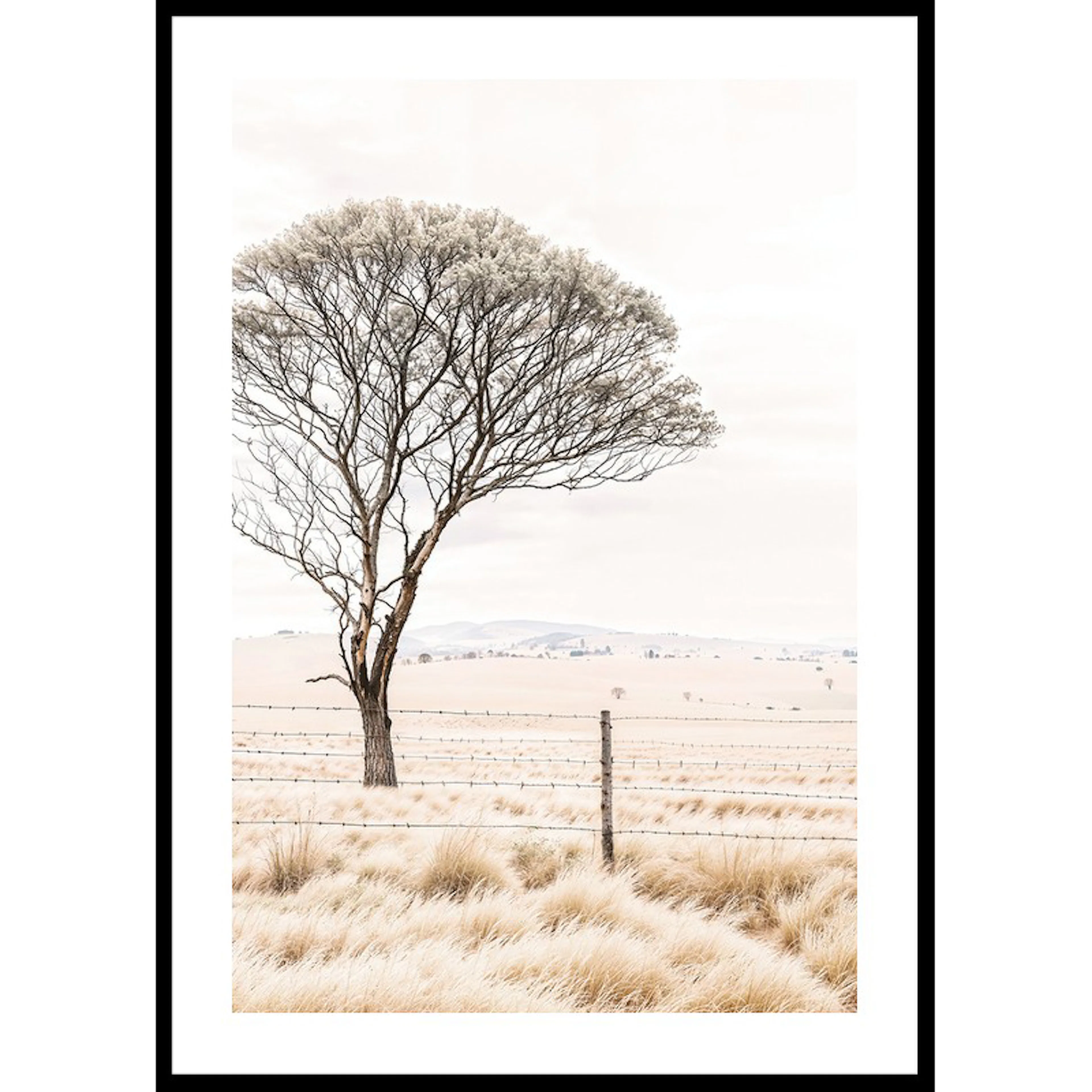 Whispering Prairie 30x40 30x40 cm