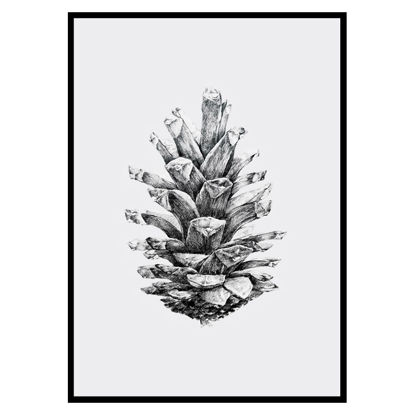 Poster Gallerix Sketched Spruce Cone