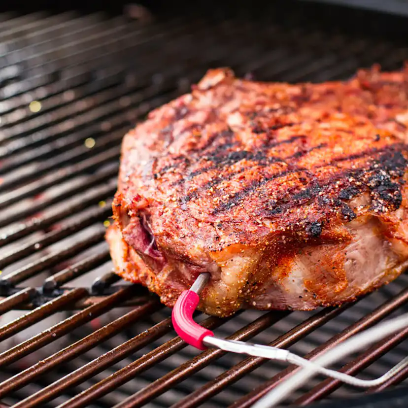 Mätsticka Weber till Termometer iGrill Pro Kött, Med Sladdvinda