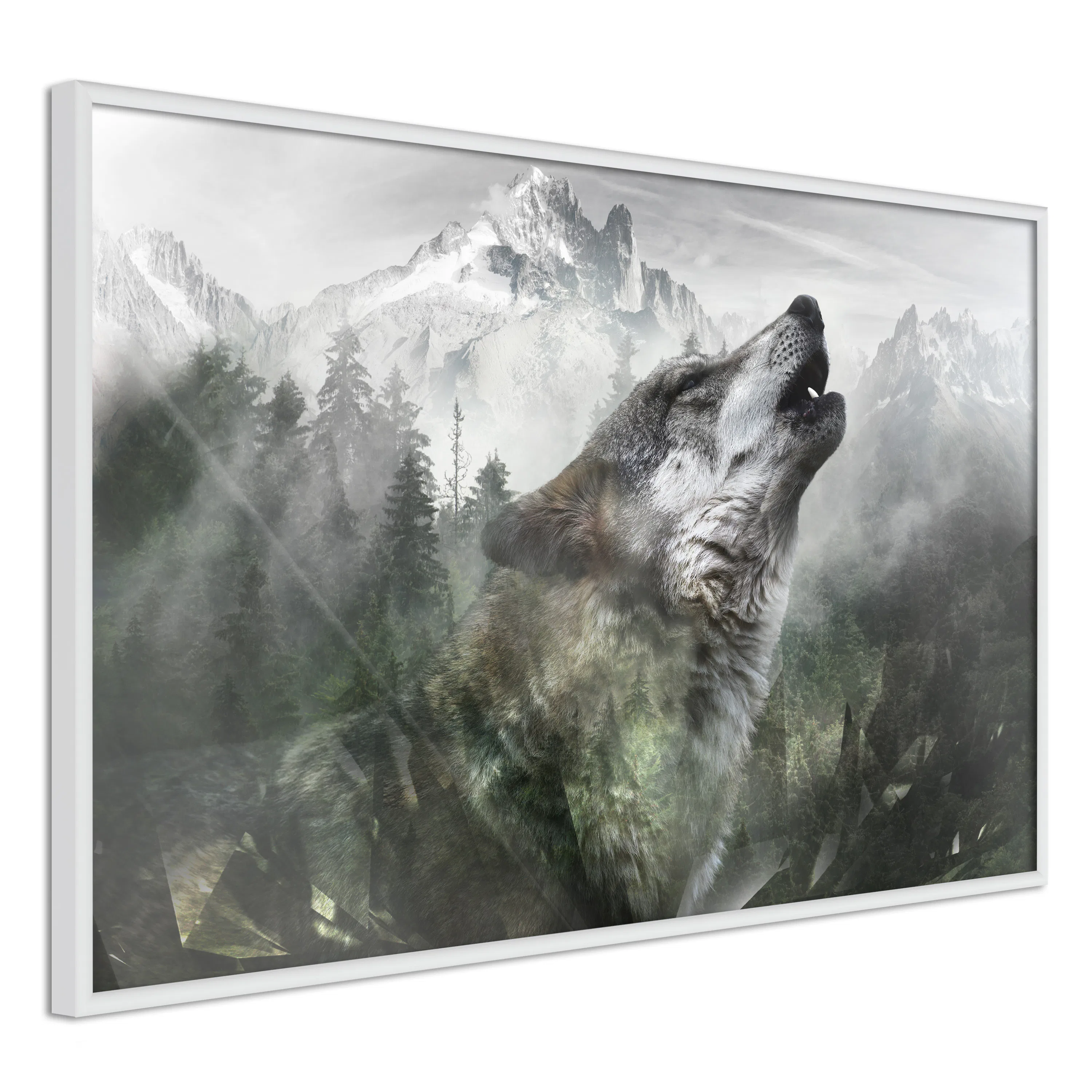 Poster Artgeist Affisch Howling Wolf