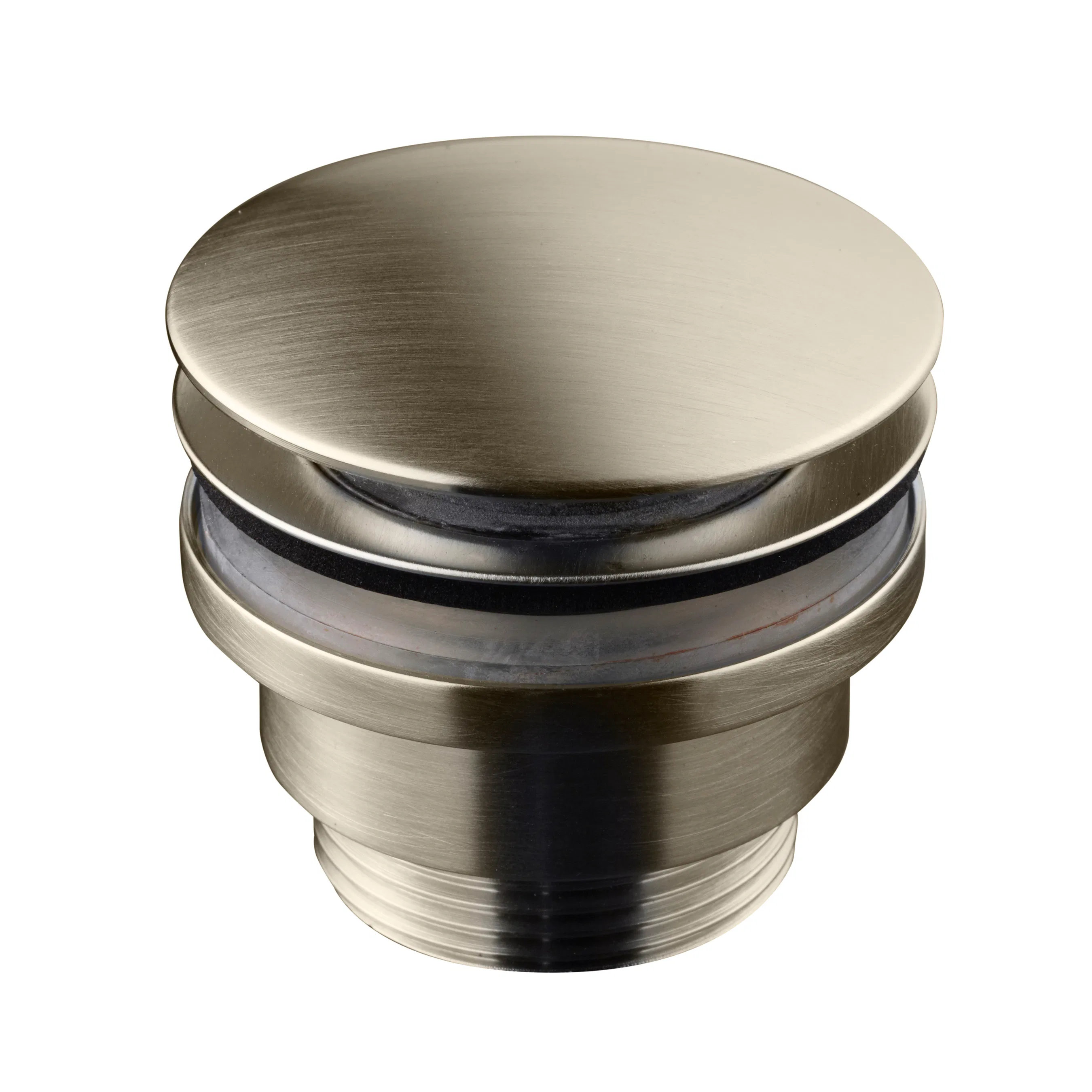 Borstad Nickel