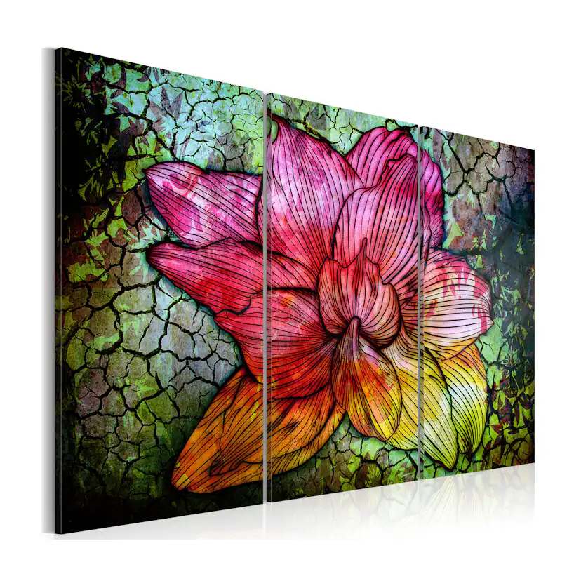 Tavla Arkiio A Rainbow Hued Abstract Flower
