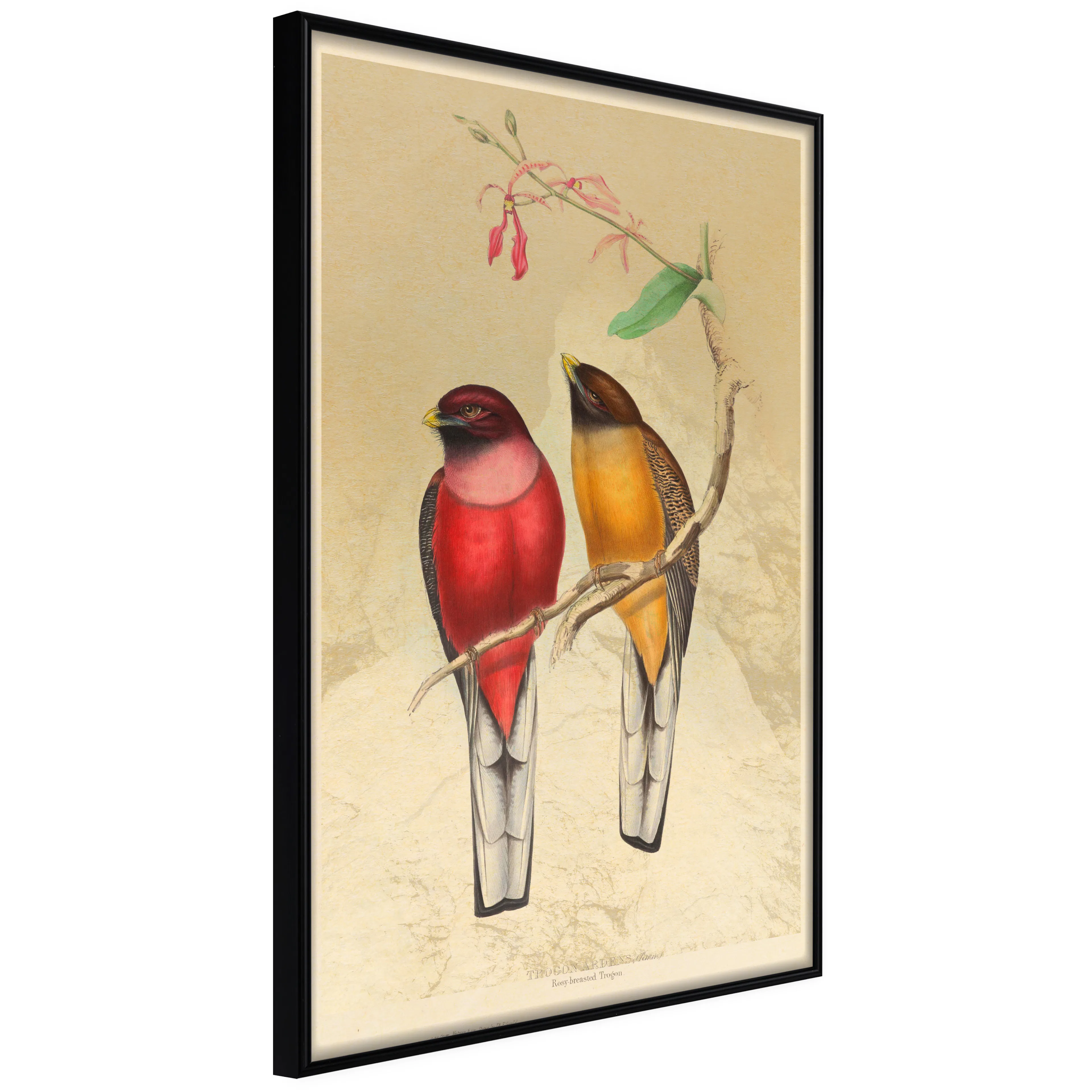 Affisch - Birds Twig [Poster] 20x30 Svart ram, 20x30 cm